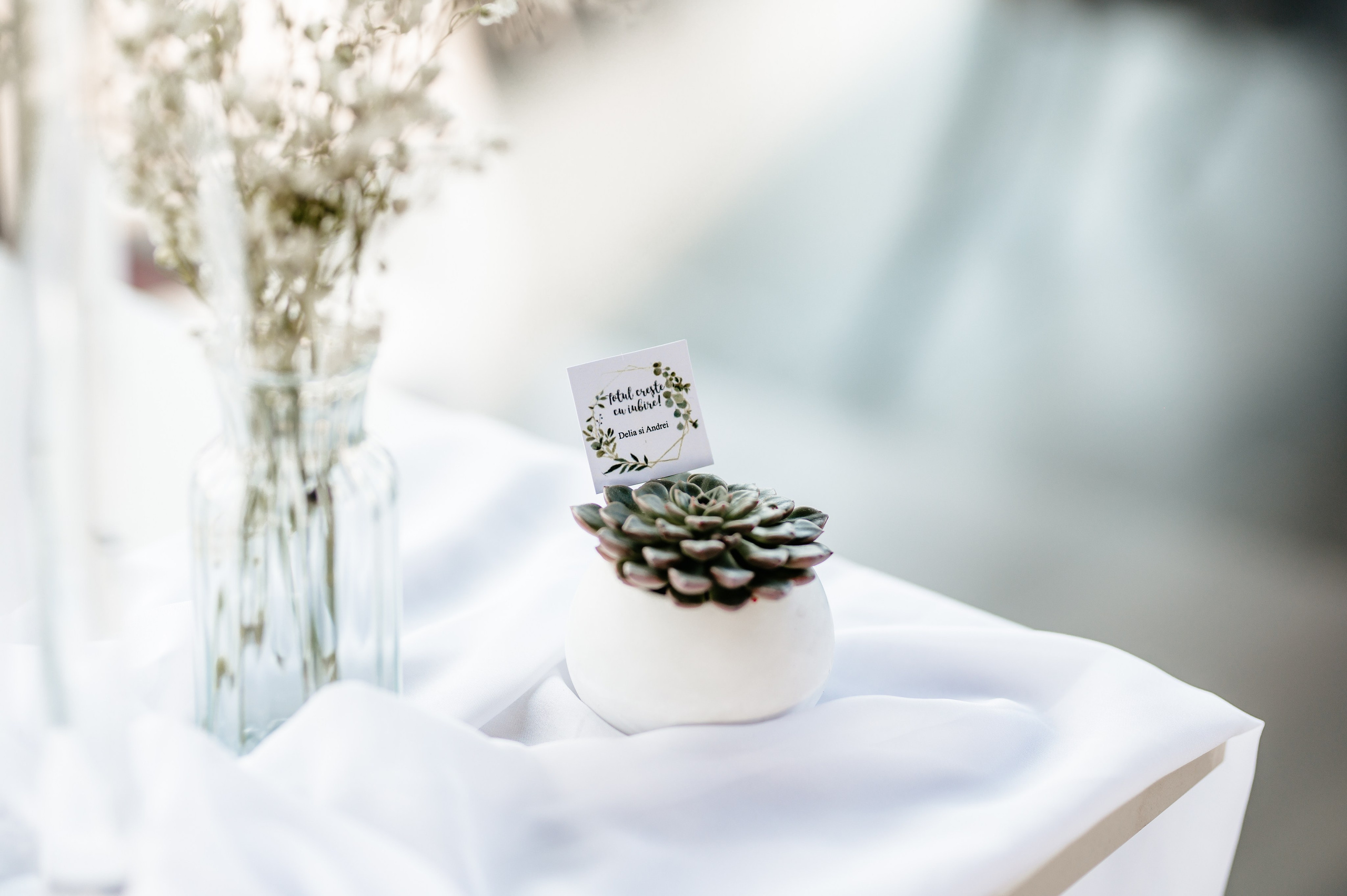 Delia & Andrei. Creativeiso.ro