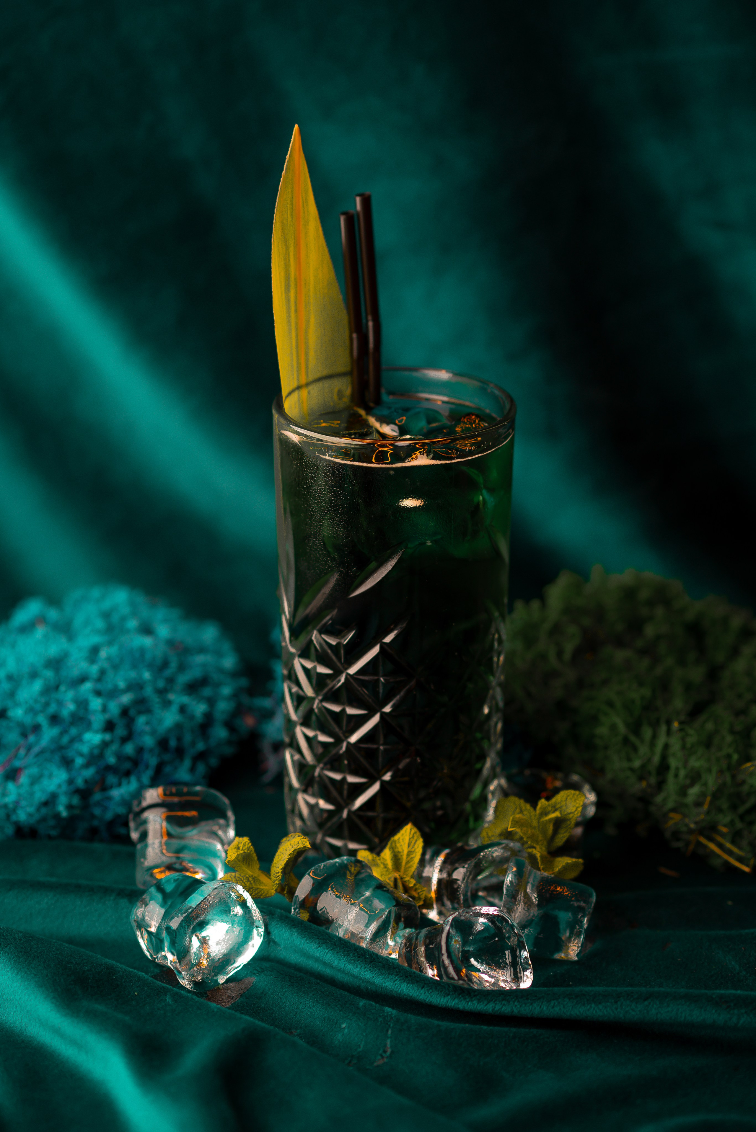 FOOD Photo. ST.PHOTO13