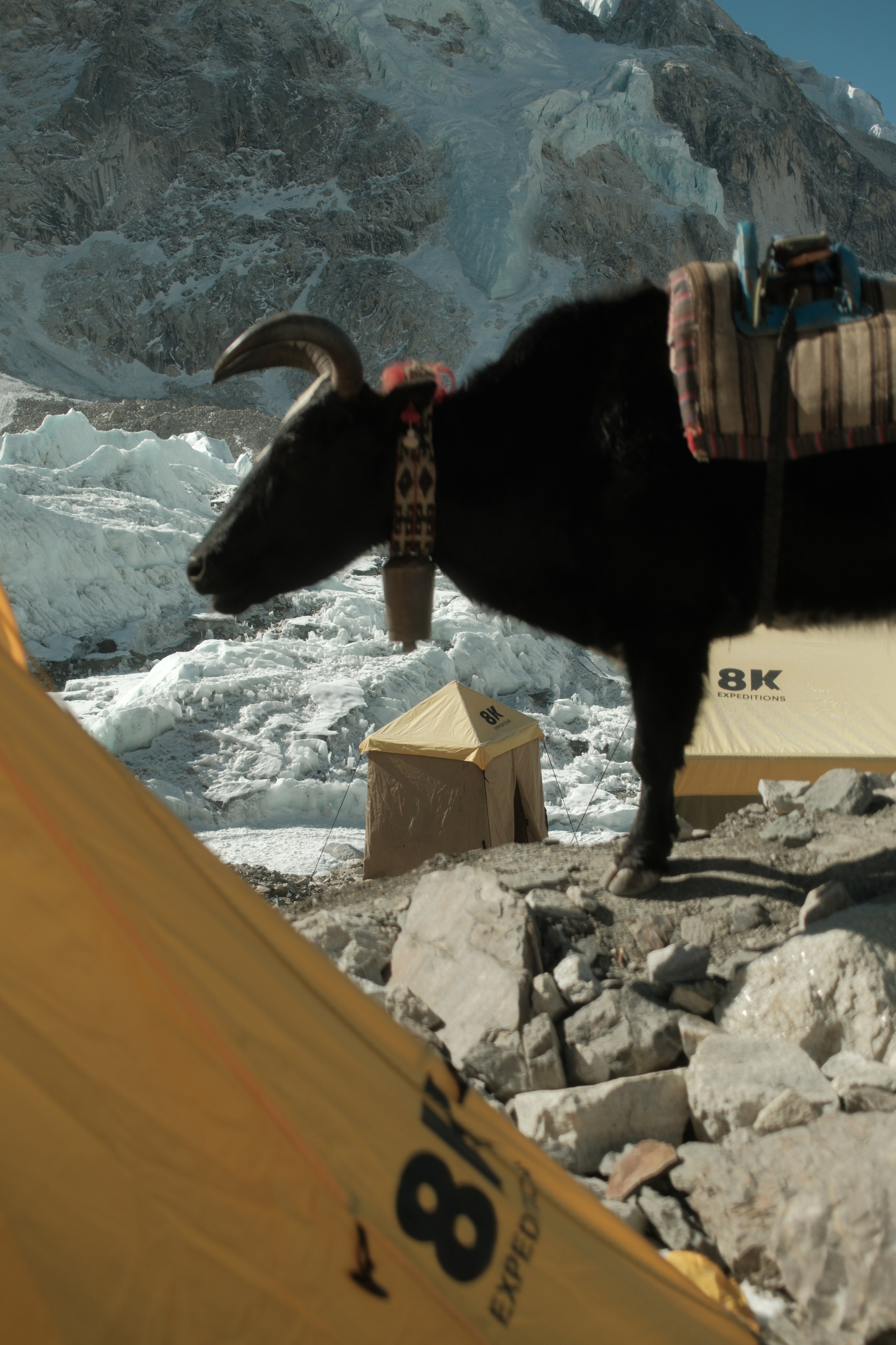 Nepal. Patricia Morenci — Mountain Adventures for the Wild at Heart