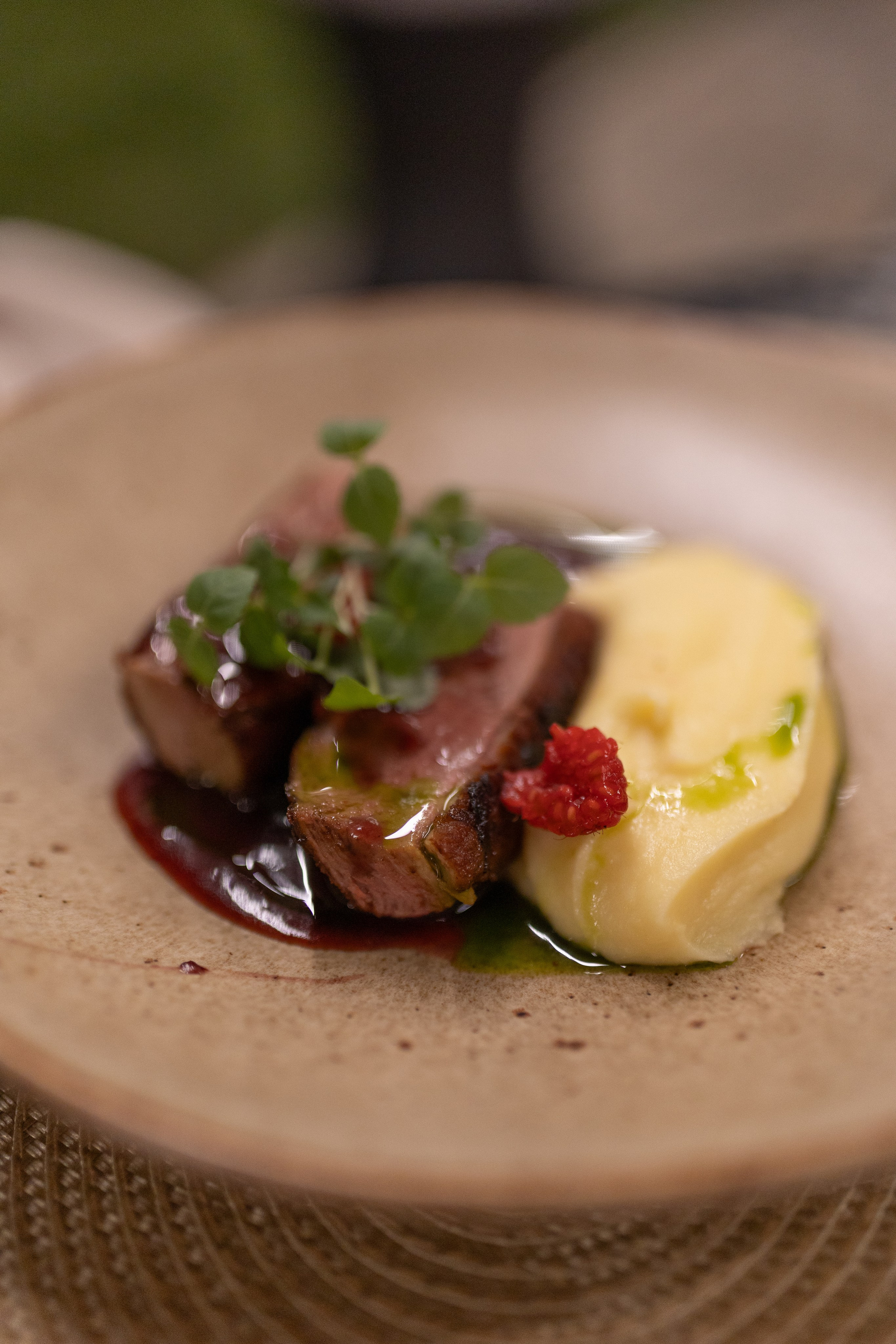 Casa Timis. Patricia Morenci — Mountain Adventures for the Wild at Heart