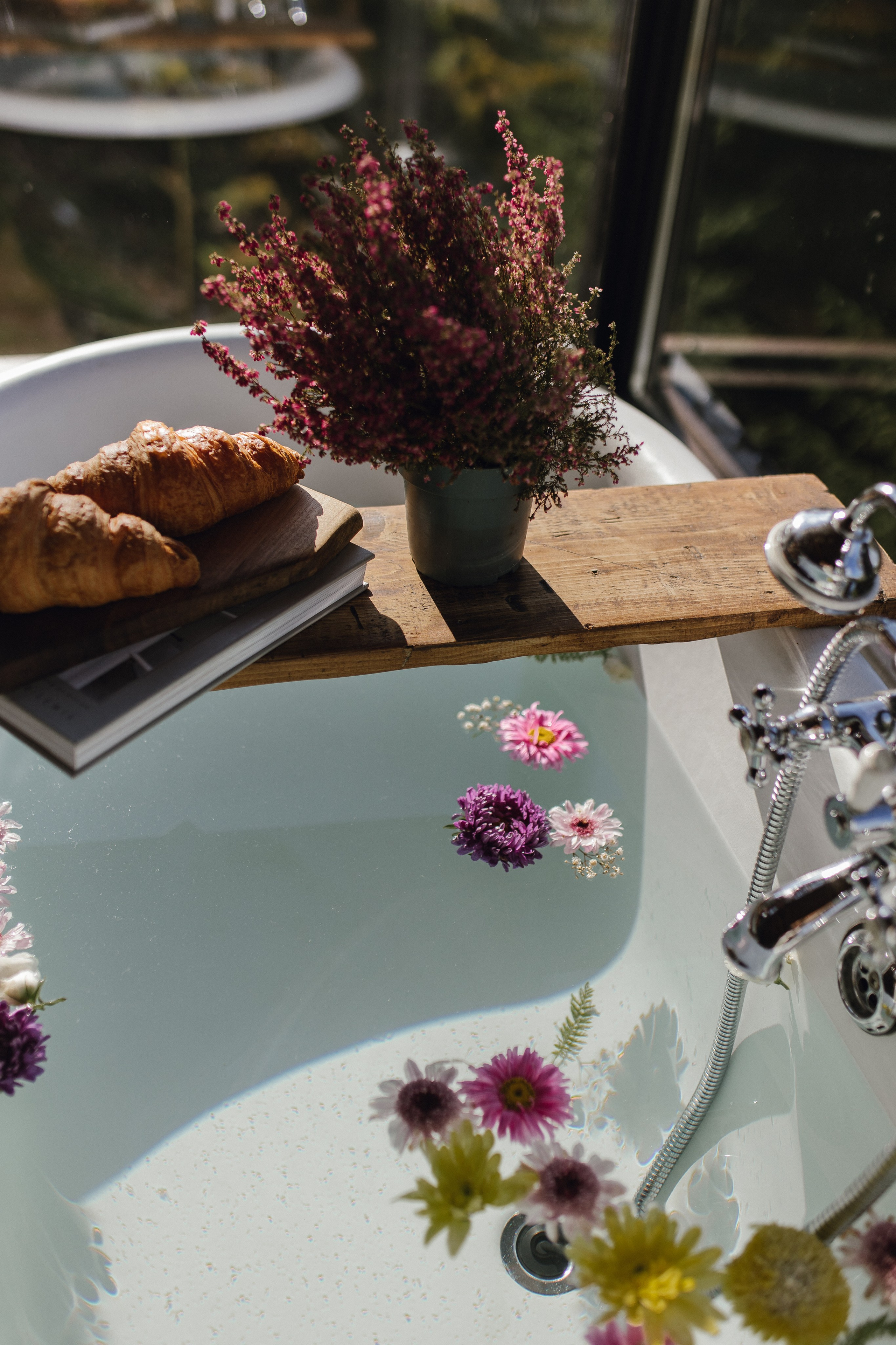 Airbnb Photos. Patricia Morenci — Mountain Adventures for the Wild at Heart