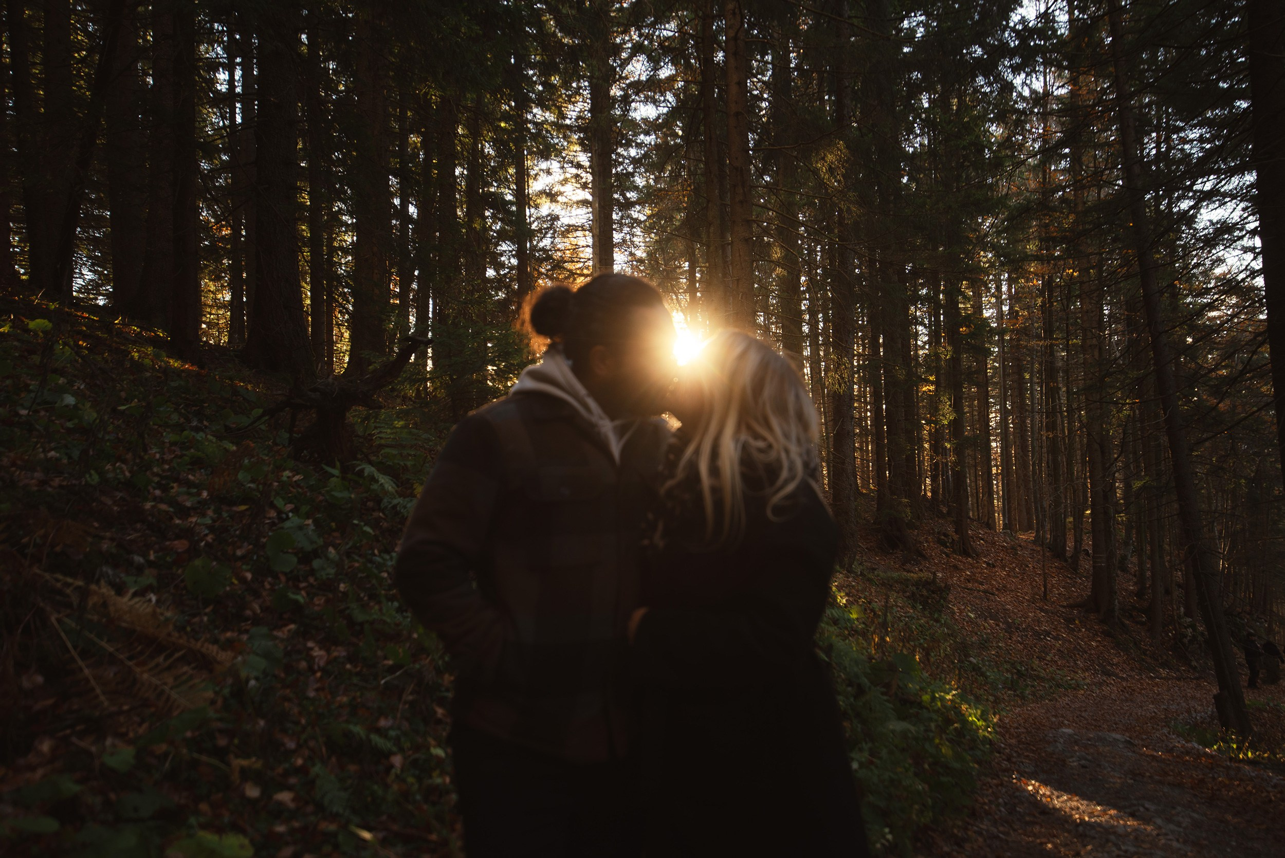 Silhouette of a couple embracing in the forest with sunlight breaking through trees, Wallberg.