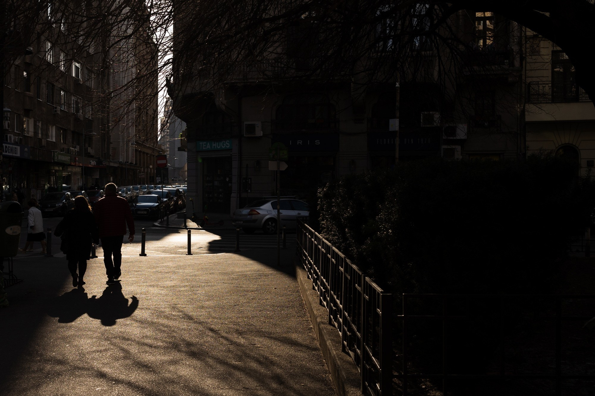 Urban Wander. A Creative Insight | Catalin Nastase