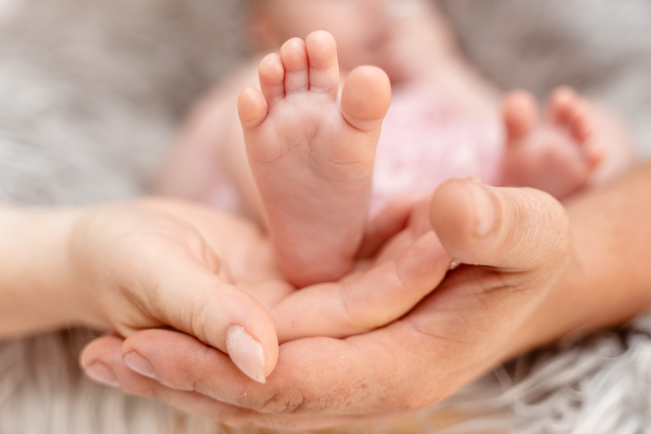 Fotograf Profesionist si Videomaker