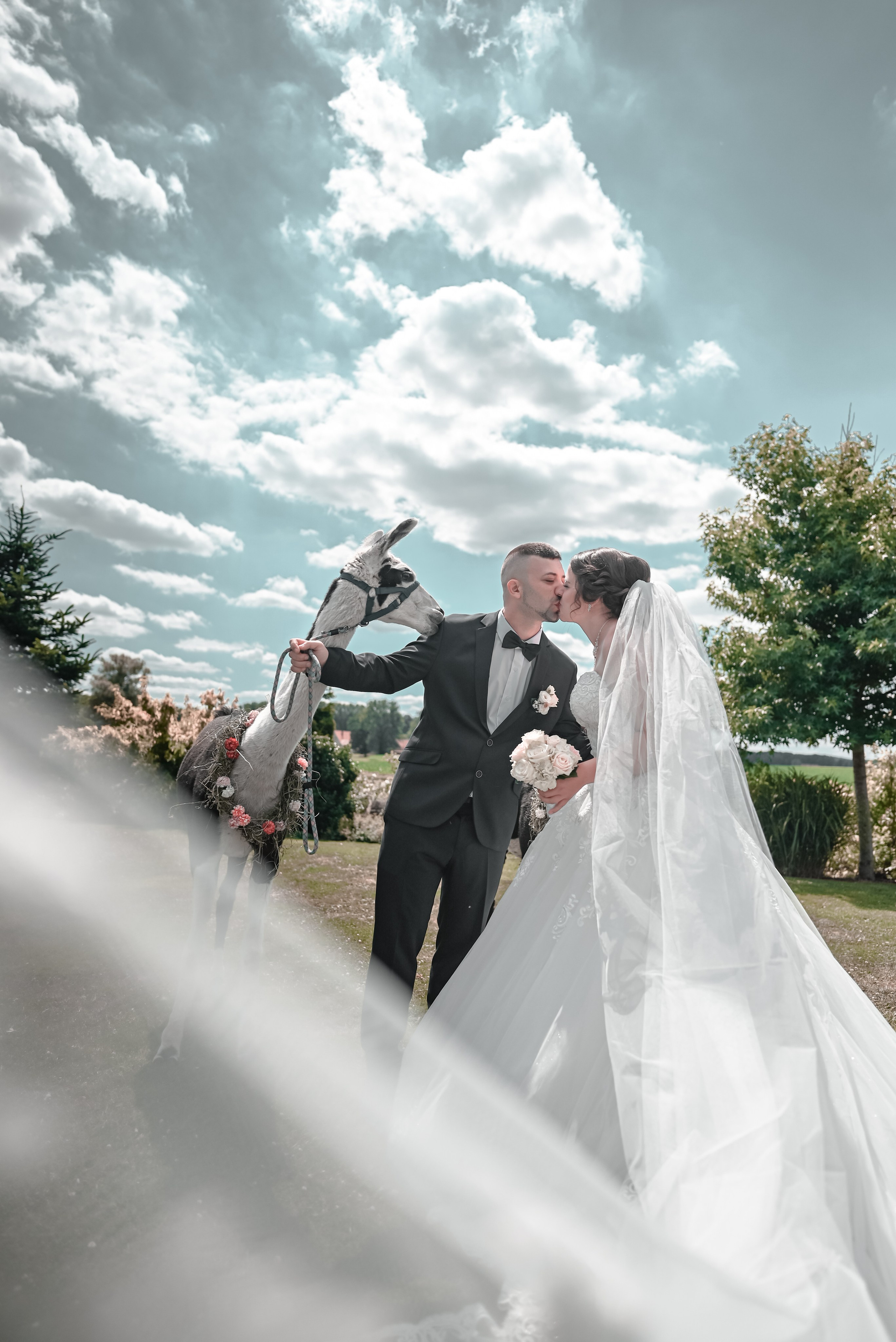 PHOTO. Video & Photo Service