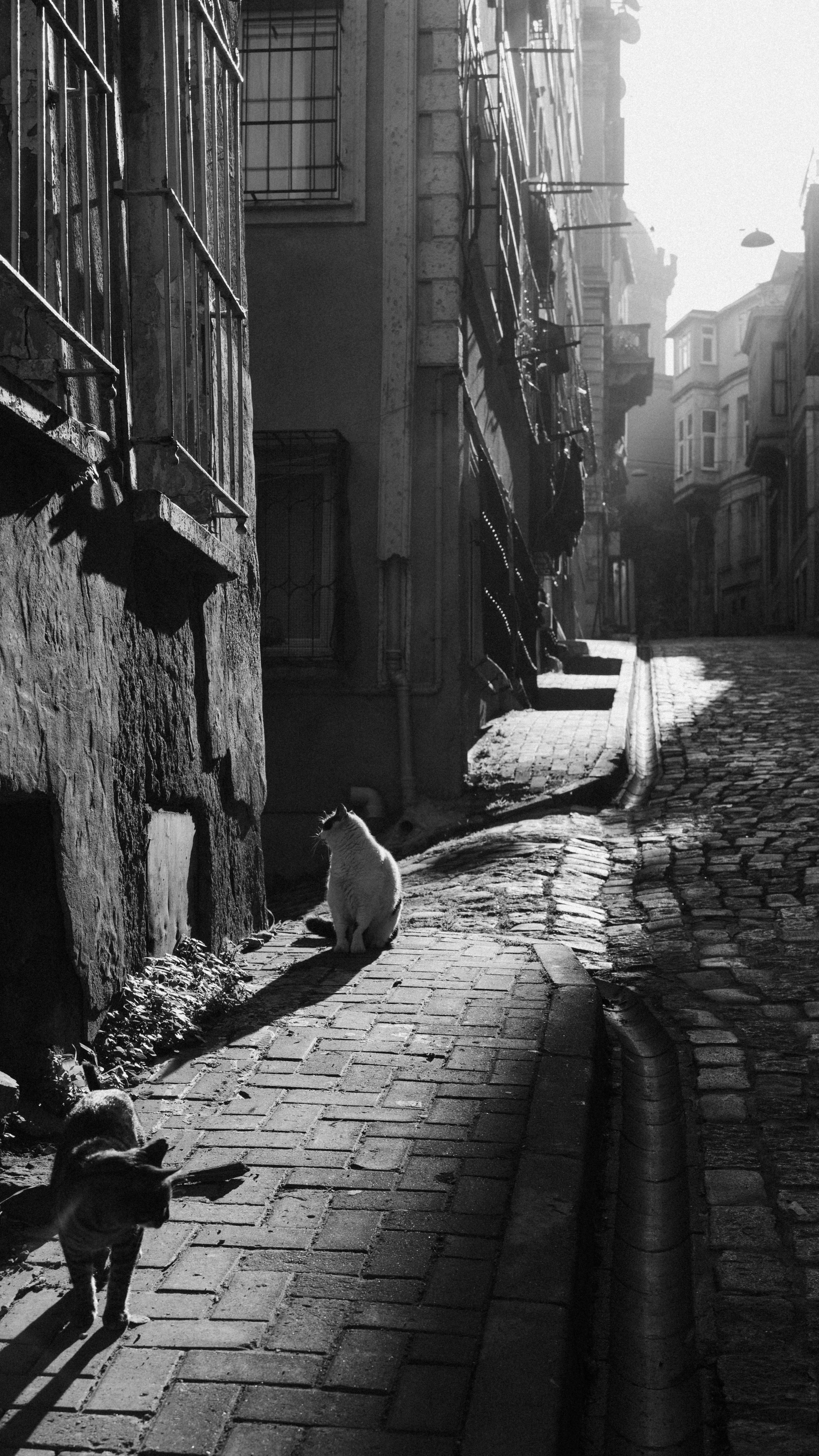 Стамбул. Фотопрогулки в Стамбуле