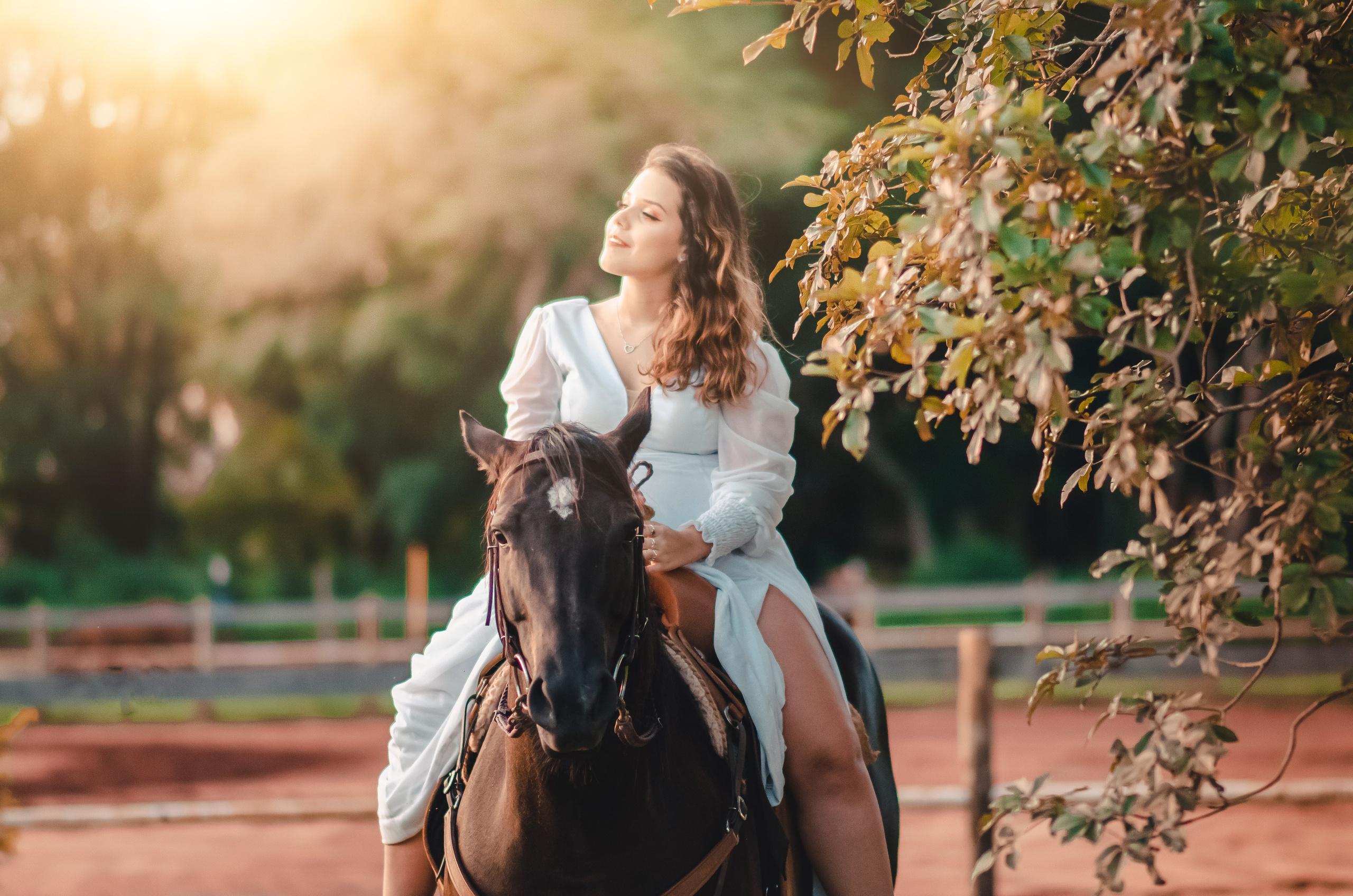 Luiza Camargo — Haras / Bauru SP. Robson Colaço