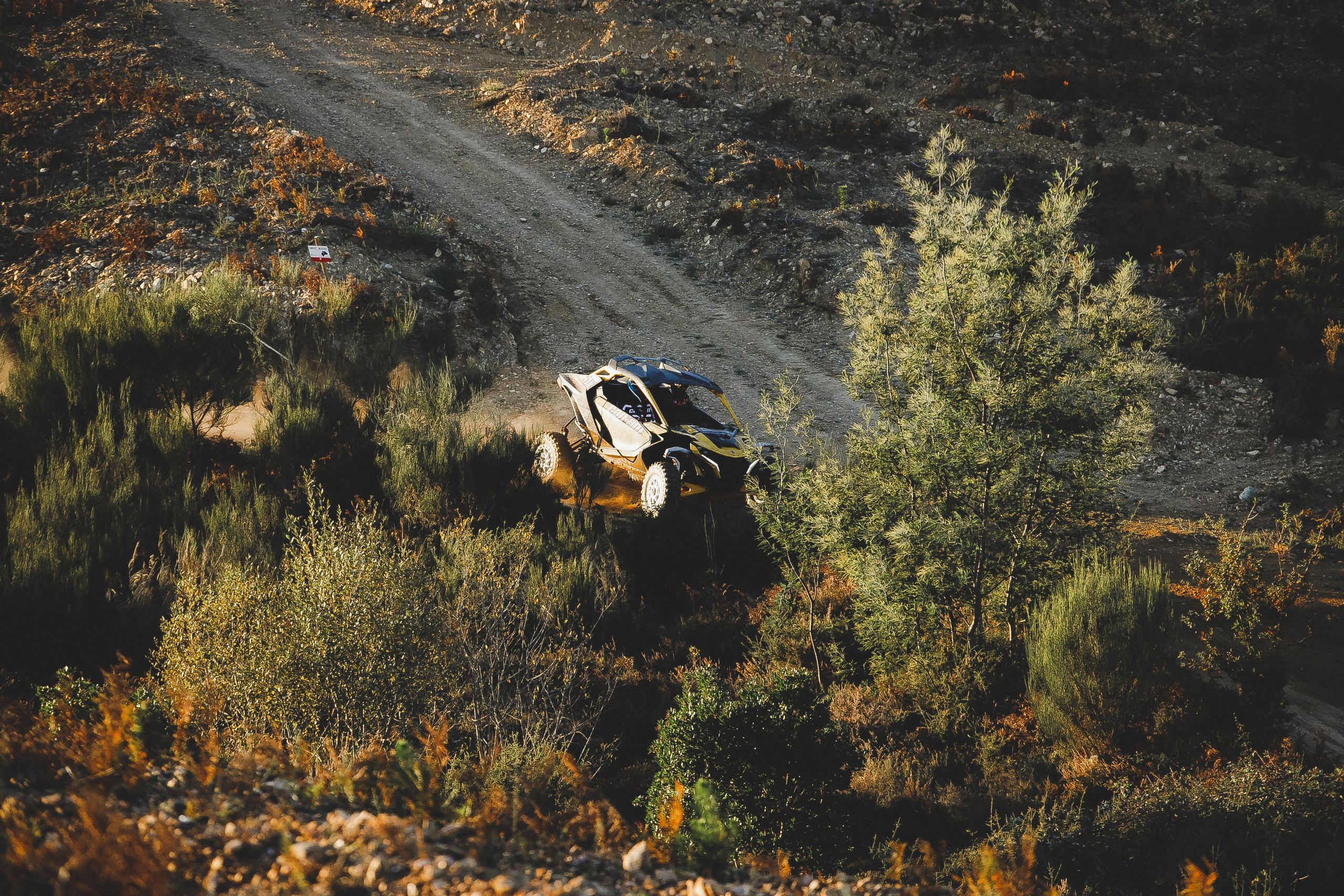 Reportage sport. Wedding photographer and videographer Europe