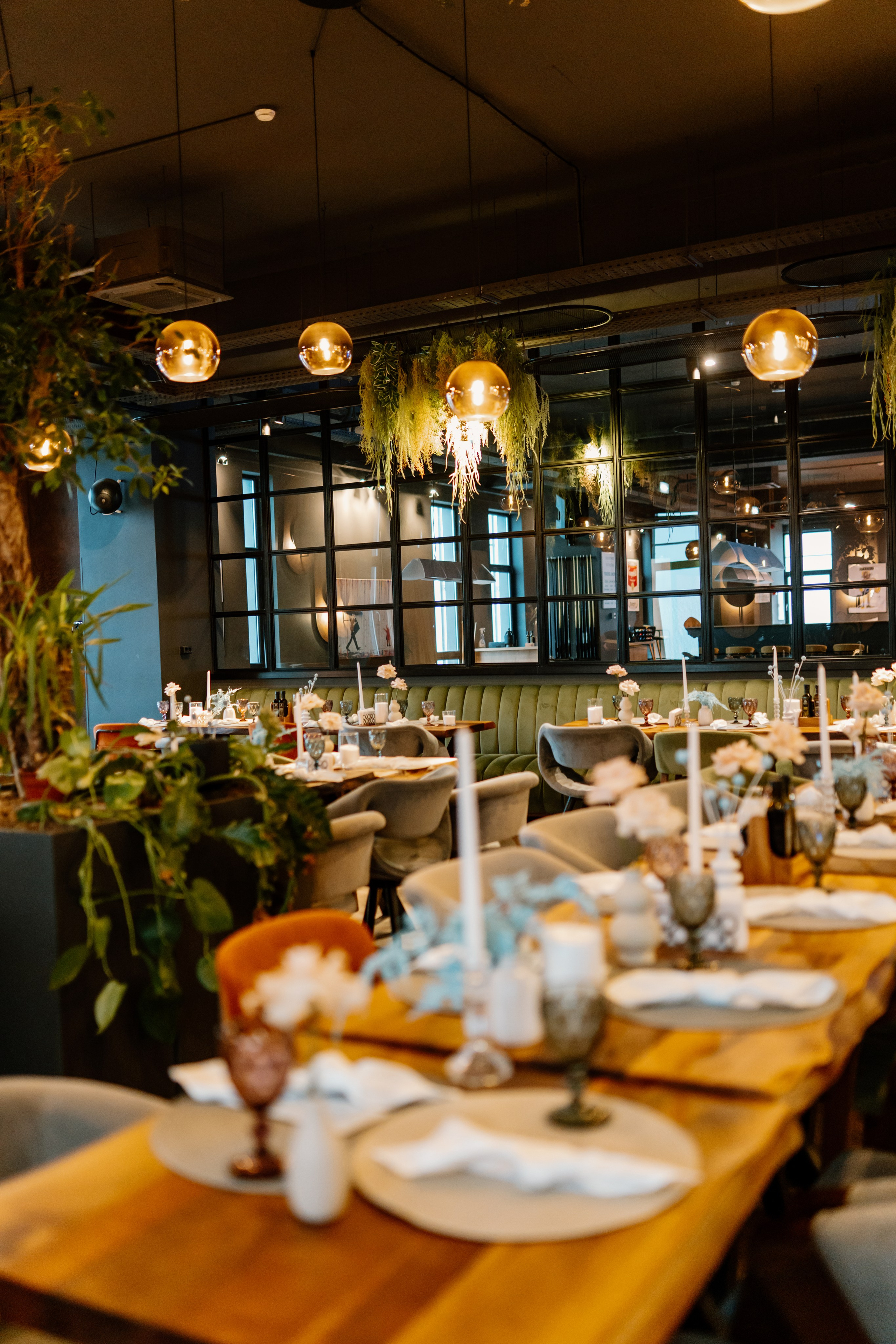 Amza — 1 year. Gabrielacojocariu.com