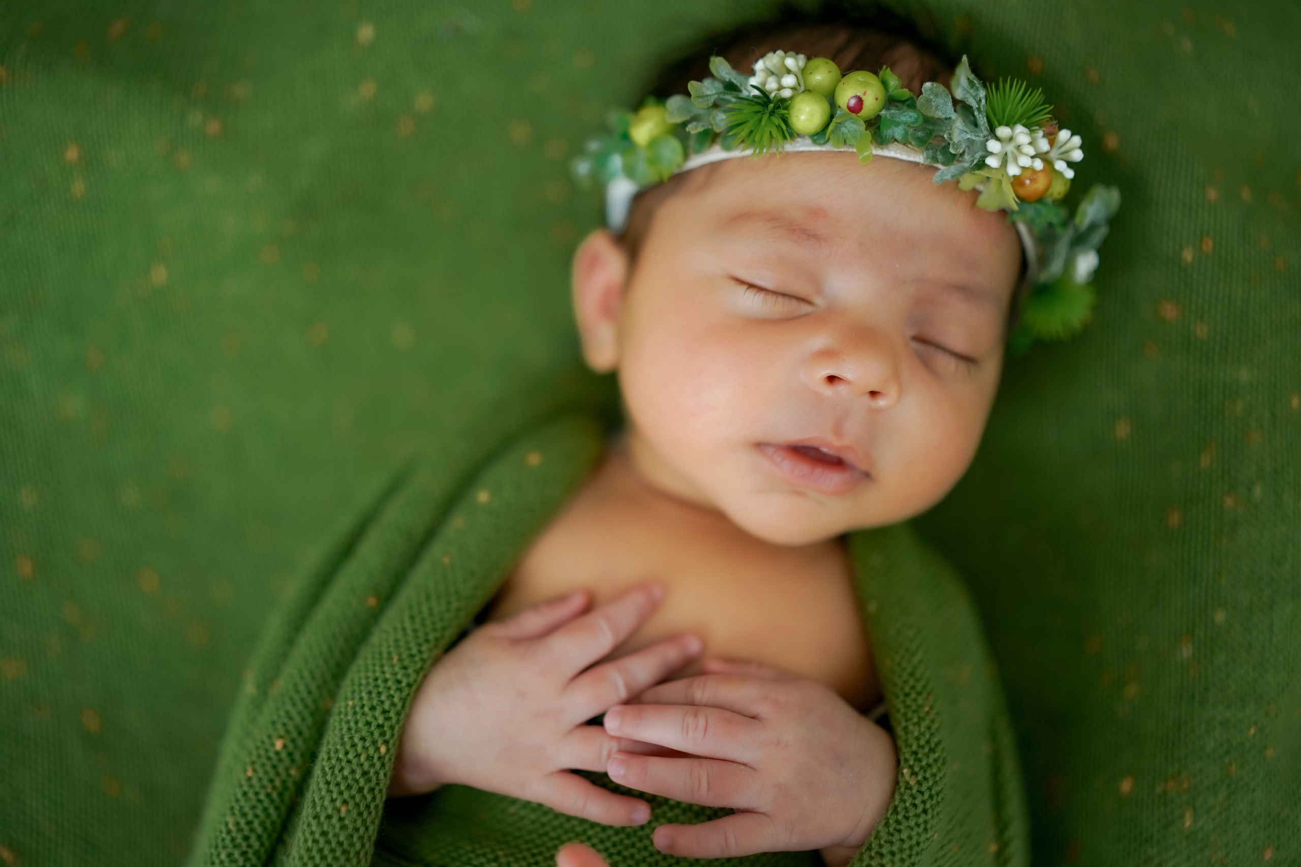 New born. TNF photo & filming