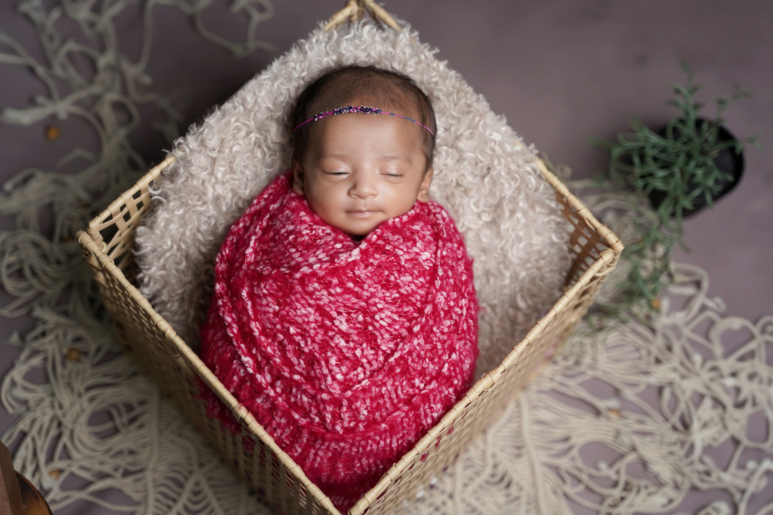 New born. TNF photo & filming
