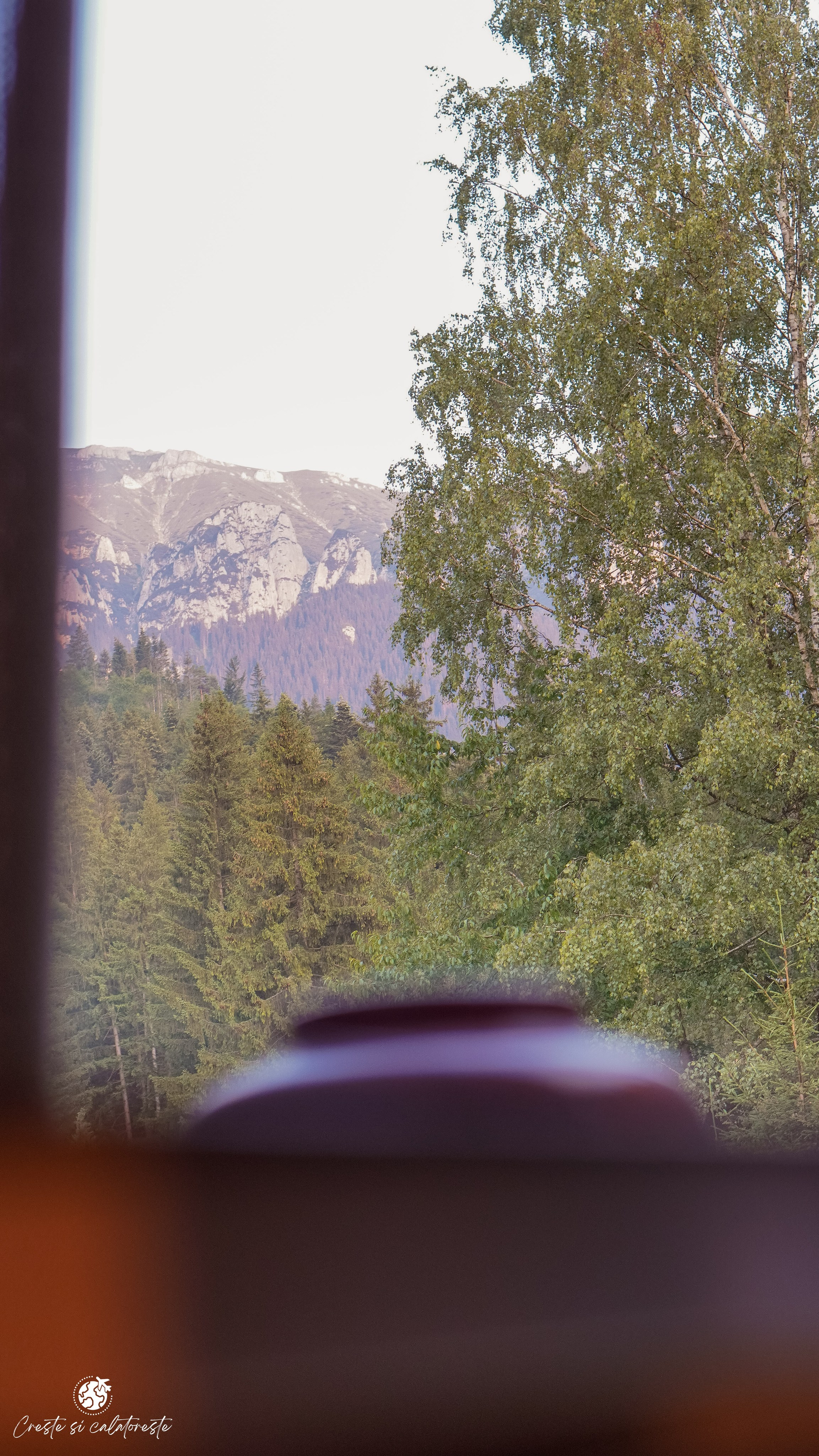 Bransilvania. Creste si calatoreste