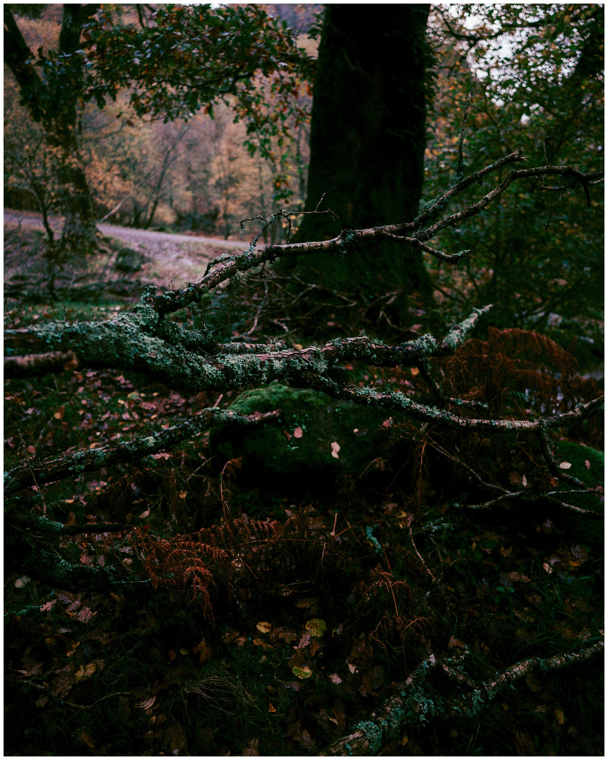 IRELAND. Inna Mendelson — Photographer