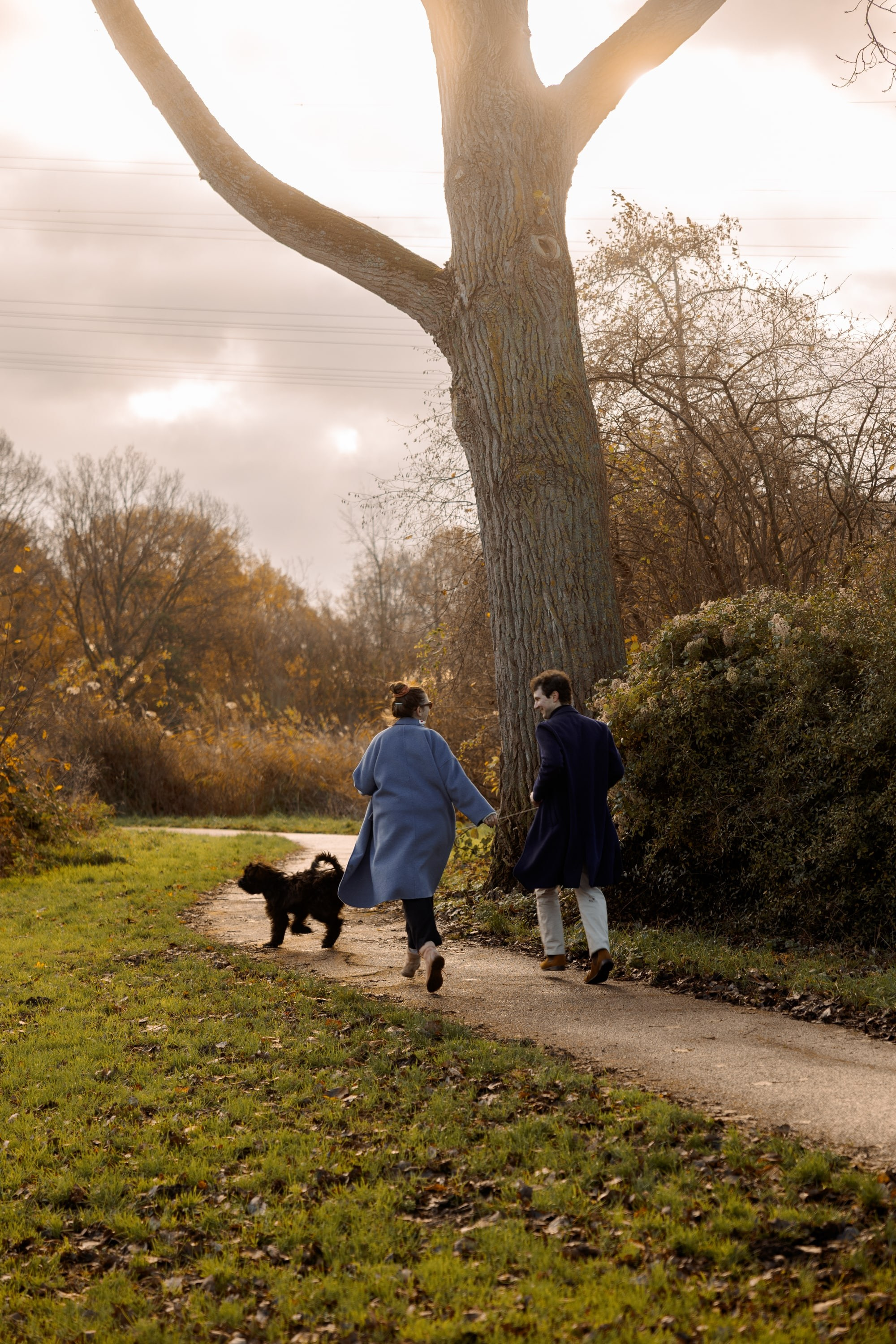 Pet Photoshoot in Spijkenisse | Rotterdam. Romantic & Soulful Photography by Natalia Olhova in Rotterdam