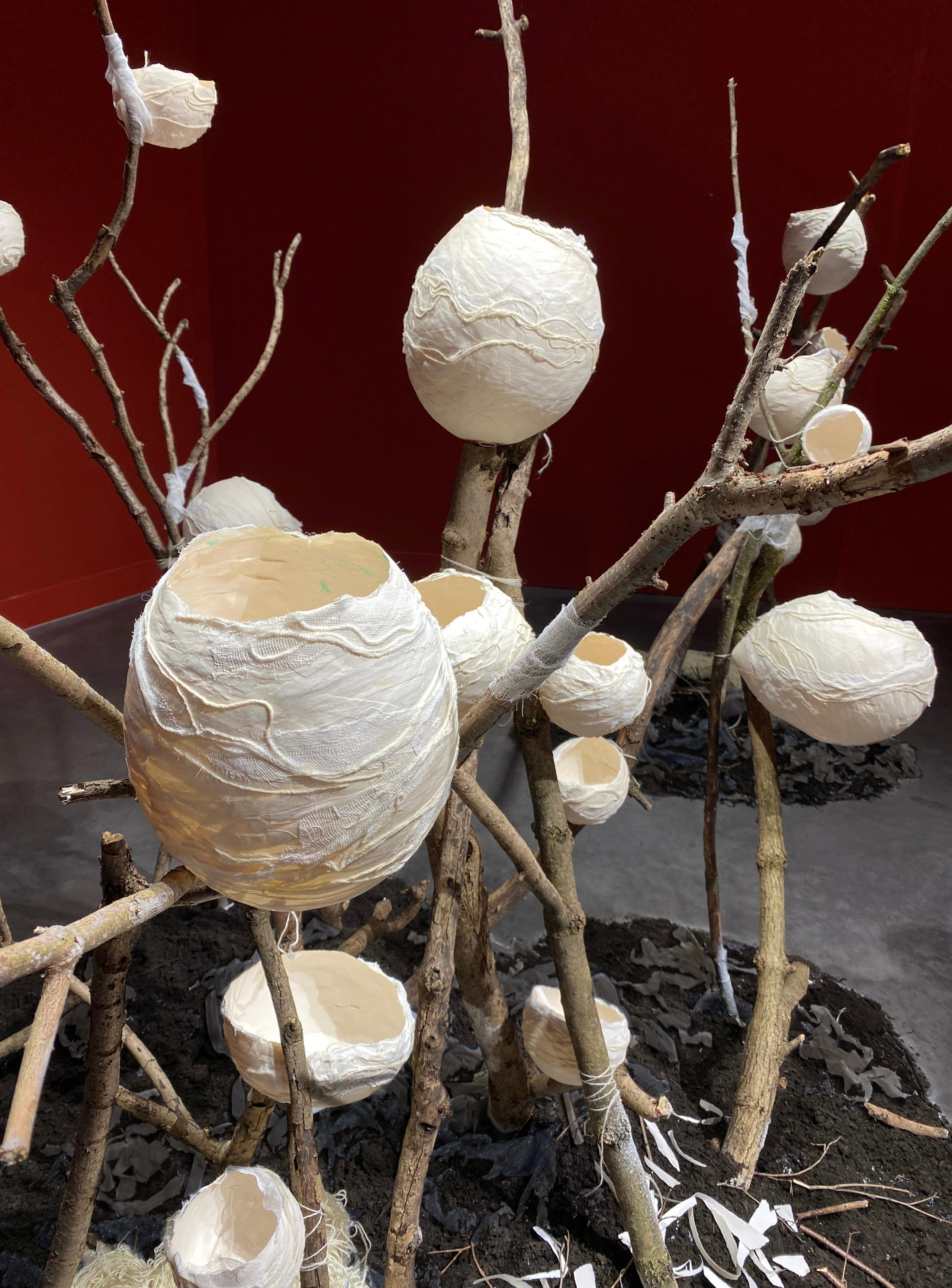 Le TRACé — Centre du Graphisme.2024. Yujoo HONG