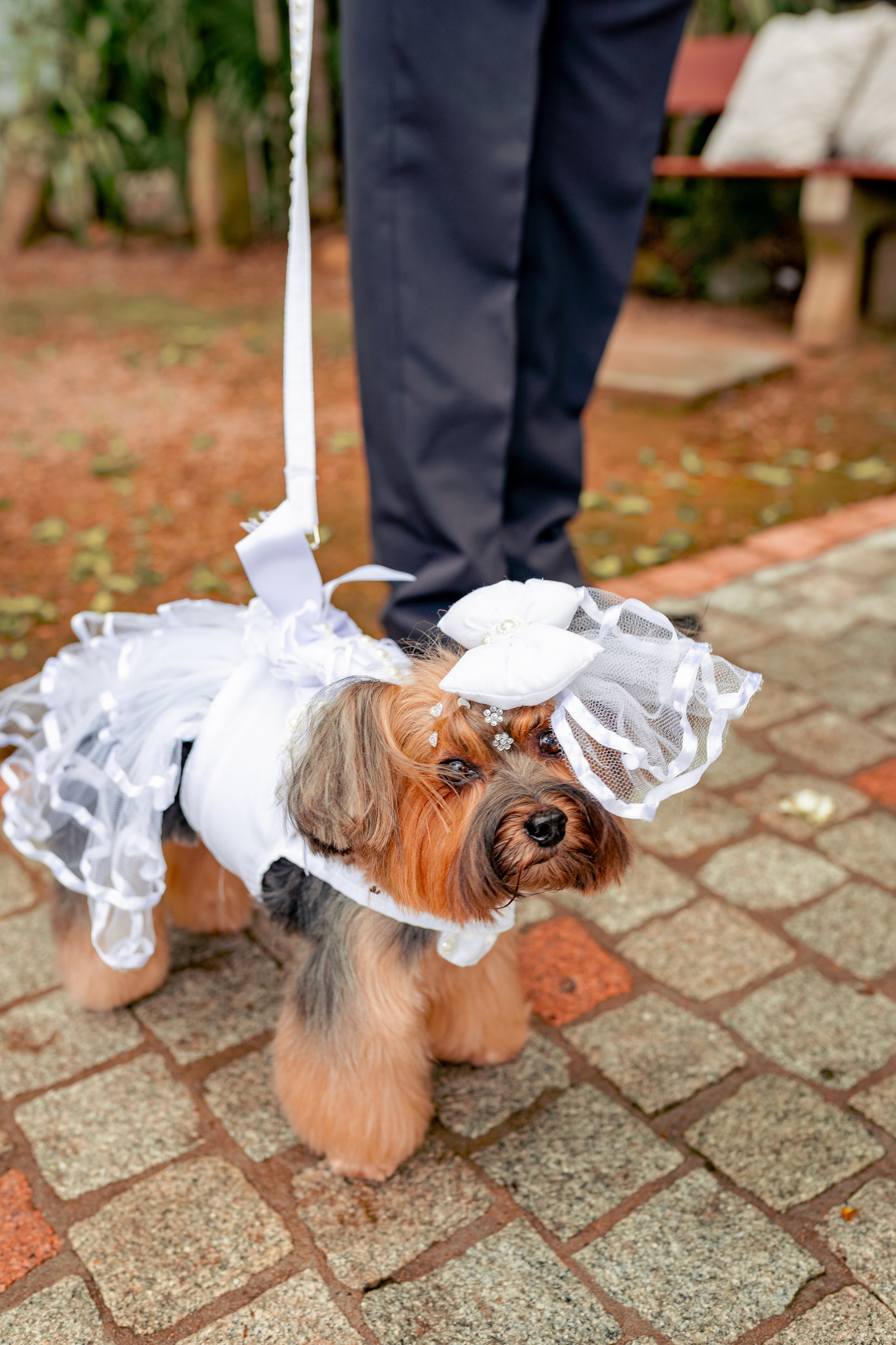 Fabiana e Rafael. Juliano anjos fotografia