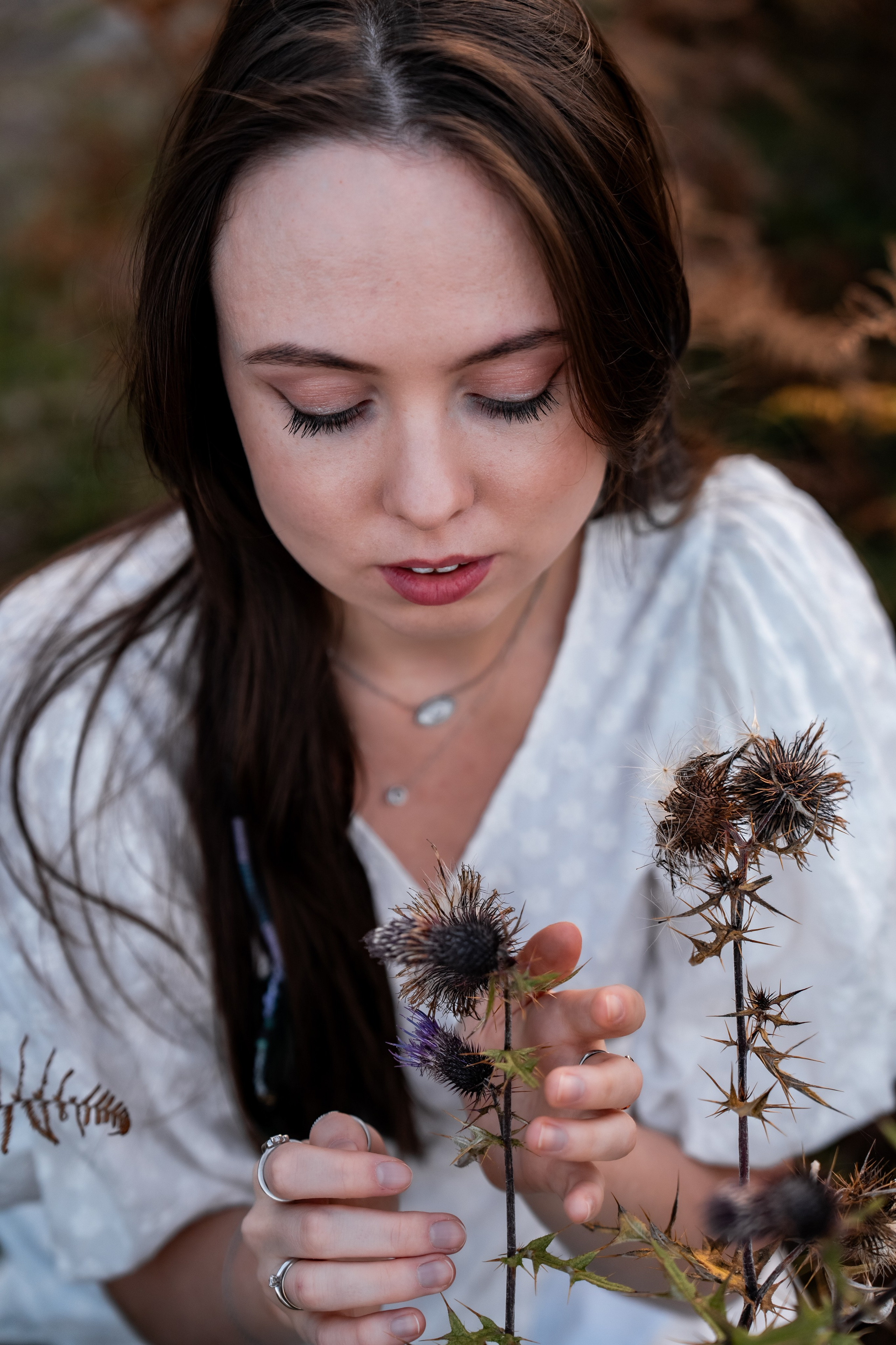 Golden Autumn. Ekaterina Verbitskaya. Photography