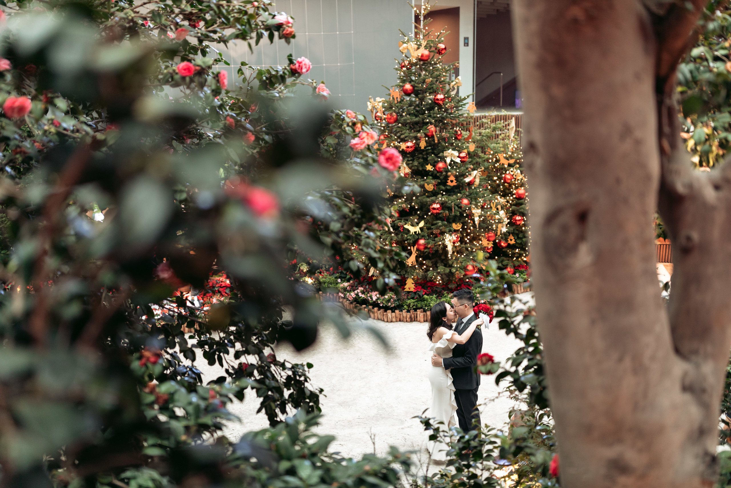 Blooming love. Photographer in Singapore Kate Bird