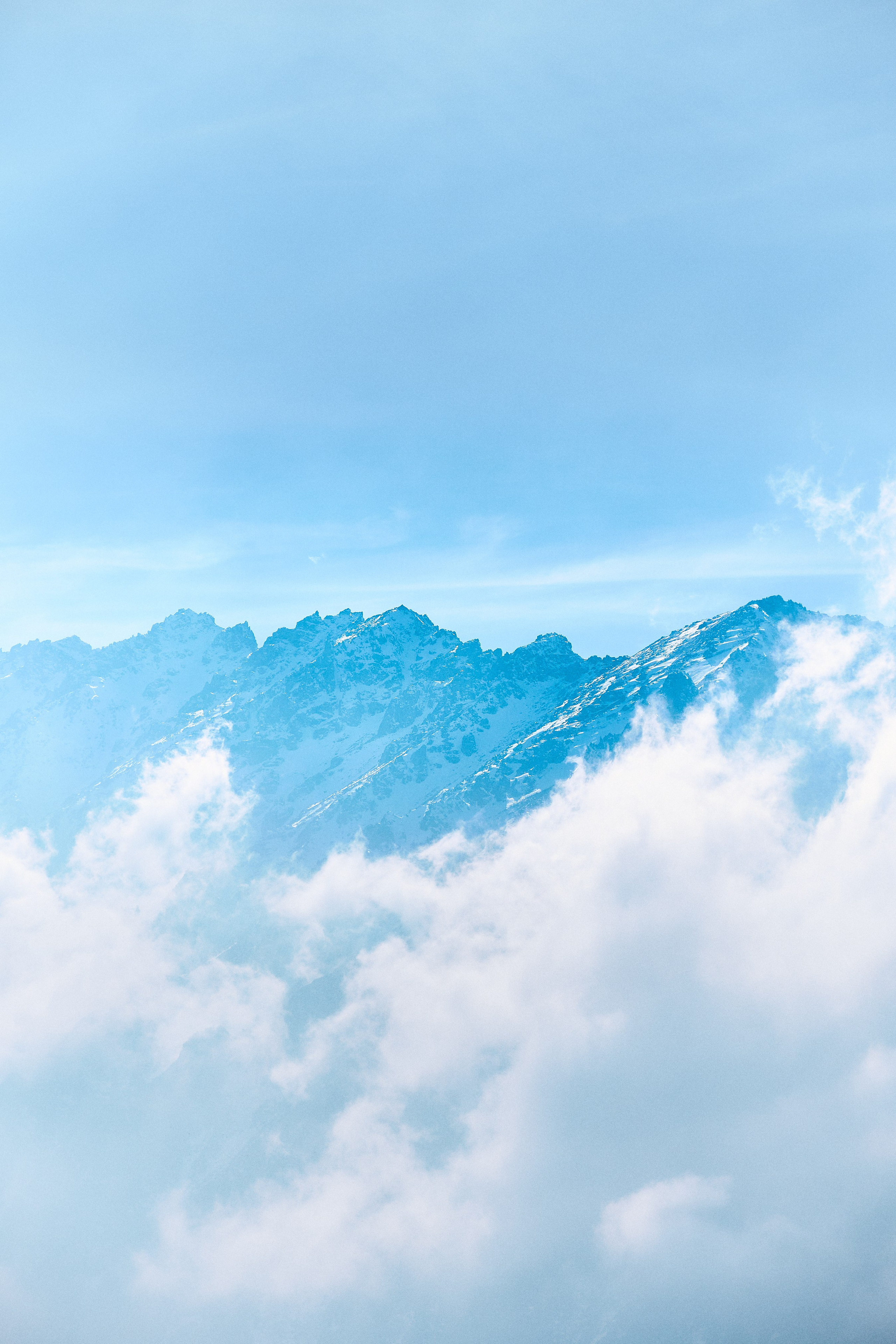 Nature. The Photographer