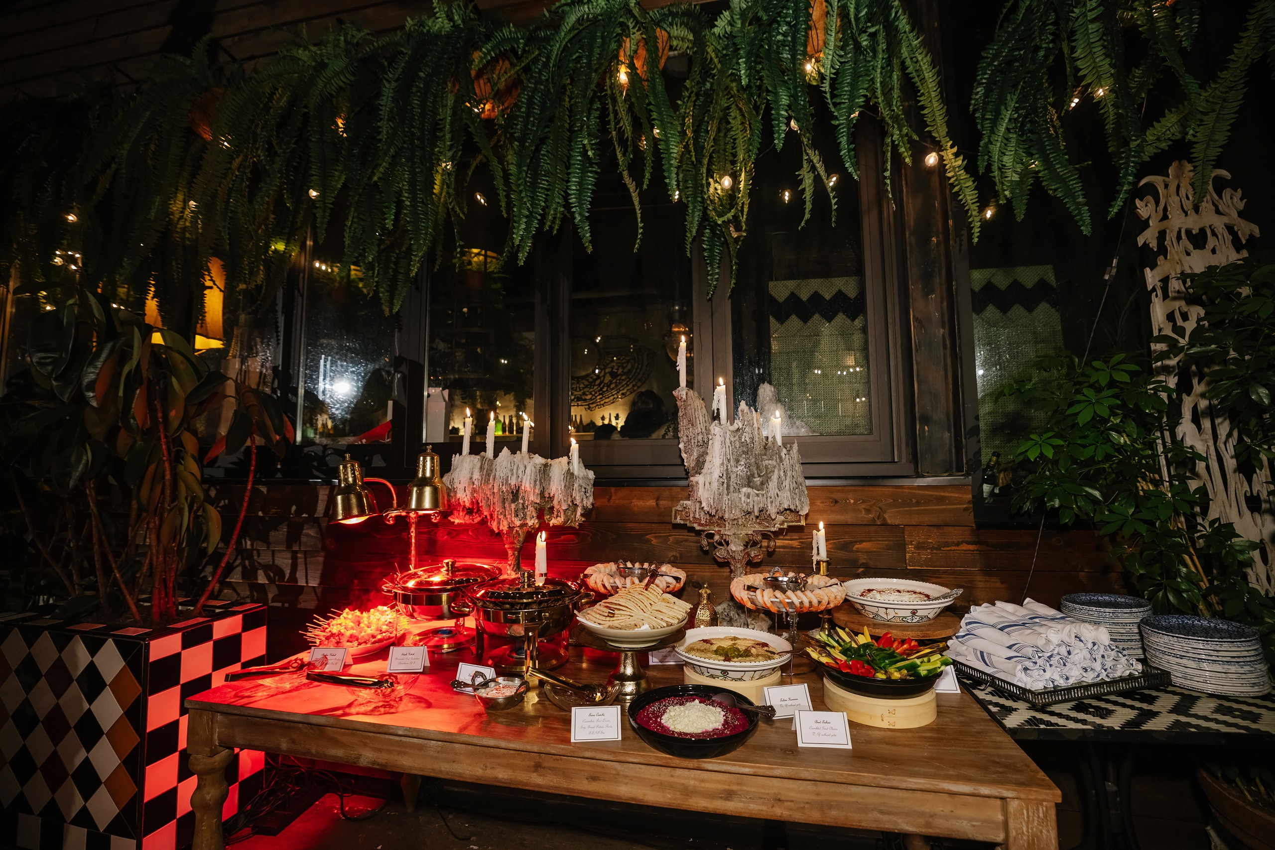 Elena’s Birthday Party. Wedding family event photographer in Chicago Nick Yushevich