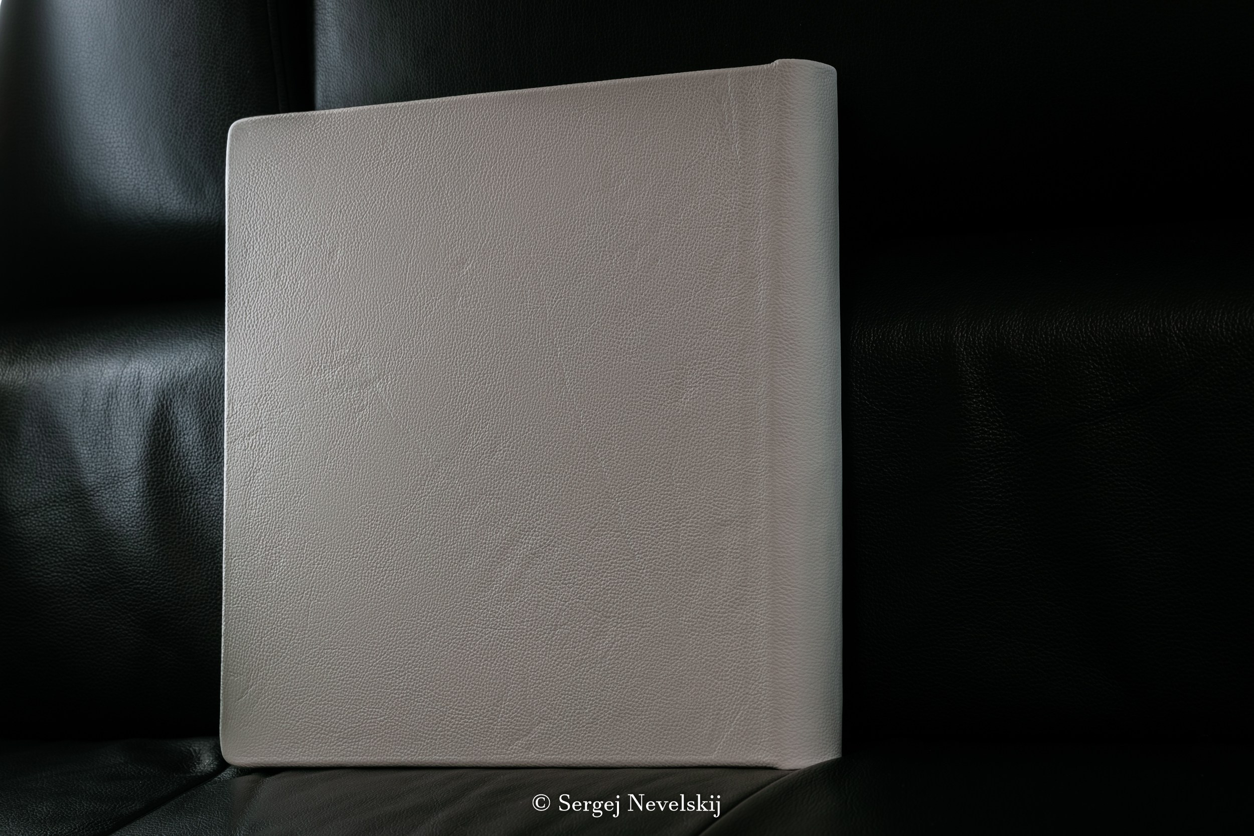 Premium-Fotoalbum mit Einband aus hellbeigem Naturleder und transparenter Acrylglas-Deckplatte, Layflat-Bindung mit Metallspirale. Ideales Hochzeits- oder Familienalbum der Luxusklasse. Hochwertige Verarbeitung, dicke Seiten mit silbernem Schnitt. Perfekt für exklusive Fotobücher.