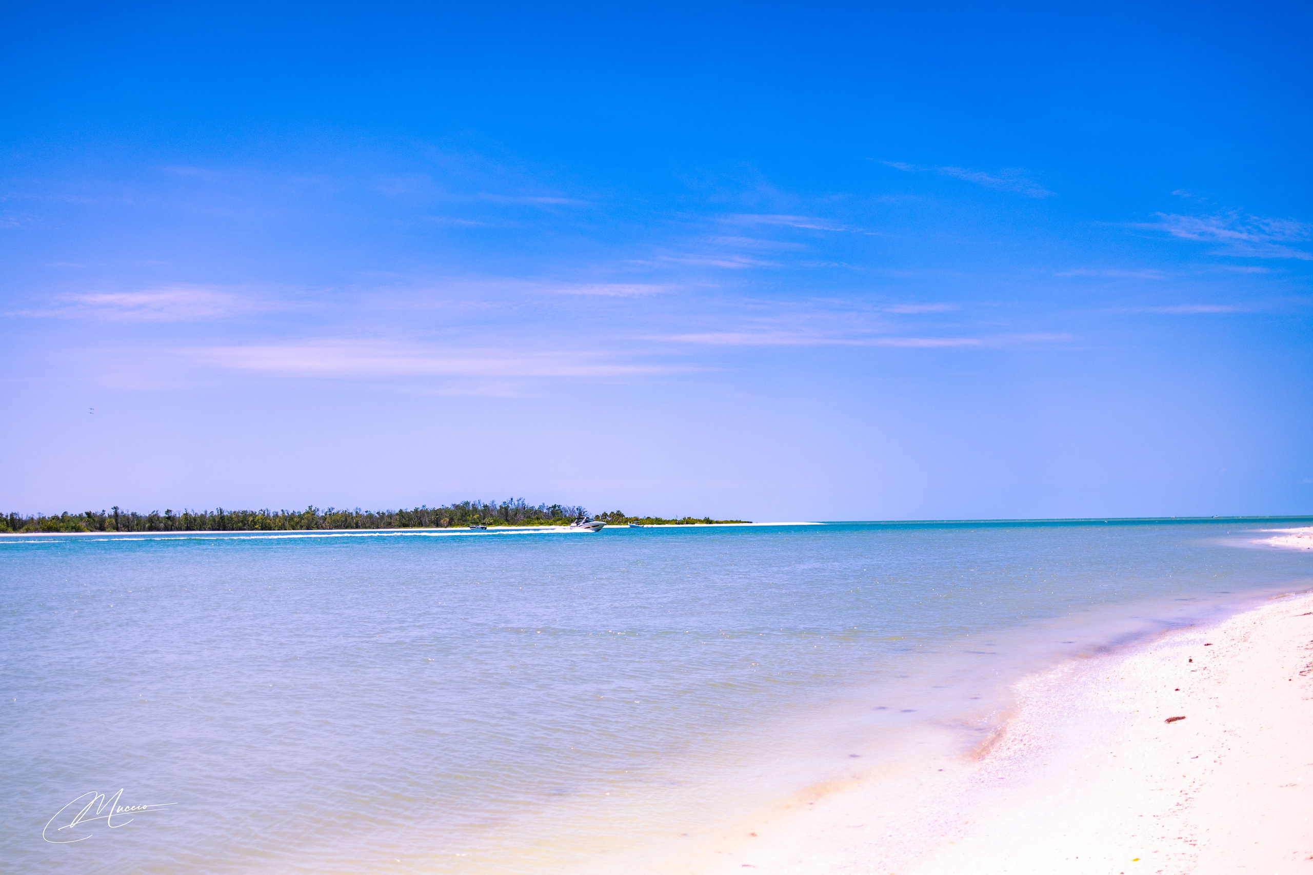 Florida Man — Fort Myers Walkabout. Out and About 239