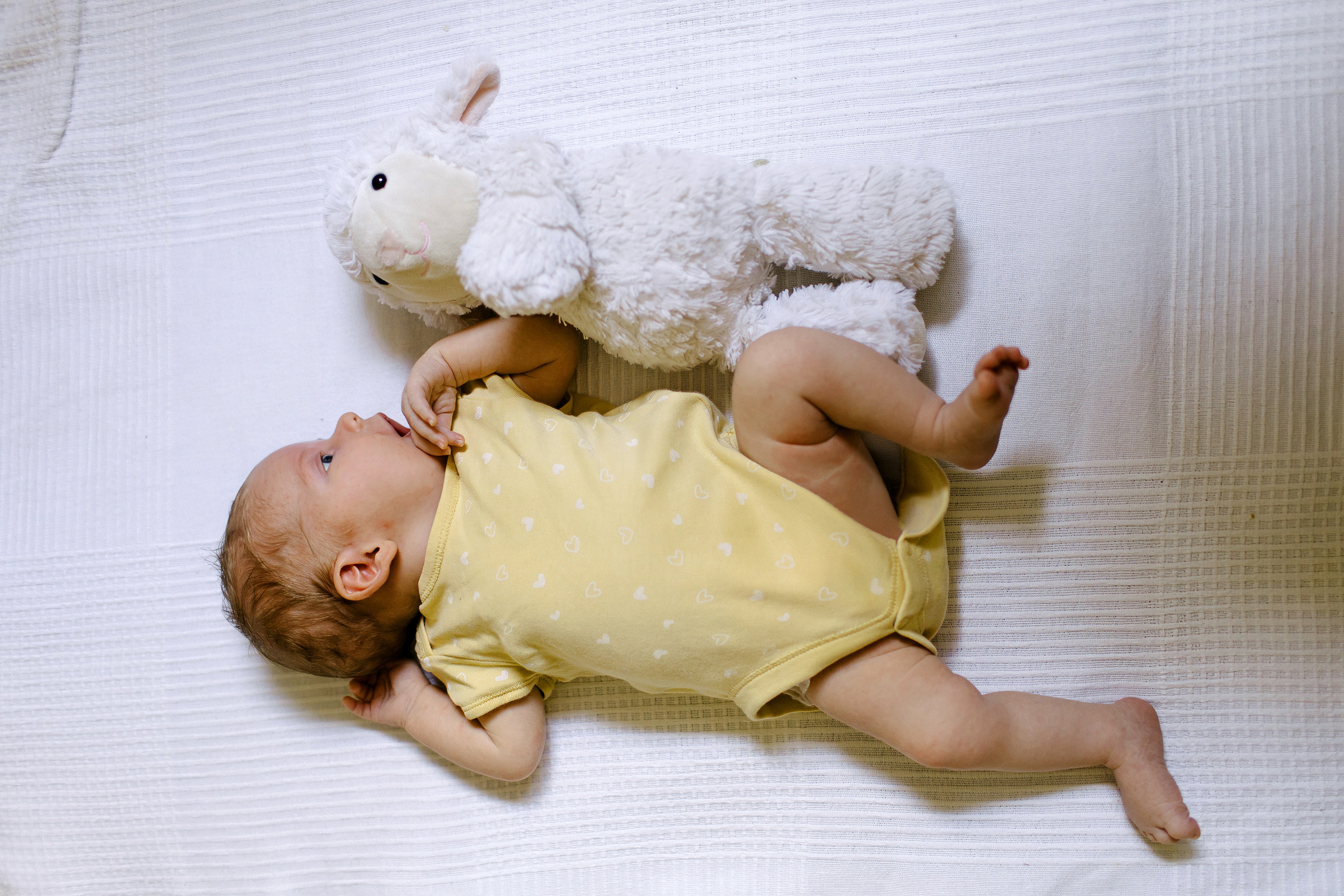 Ella 2 month. Family photographer in Israel