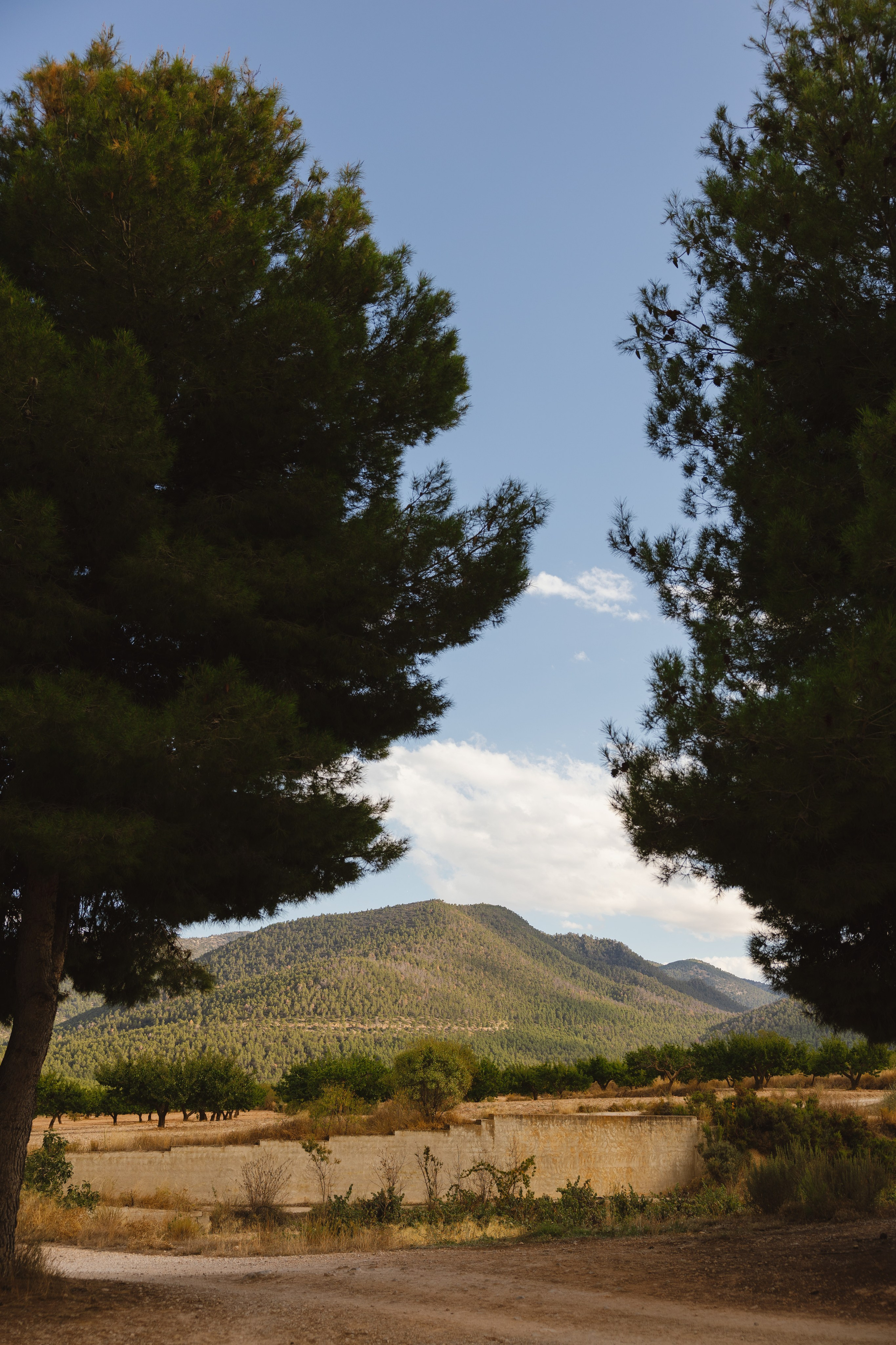 PREBODA ANA CRISTINA Y ROBERTO. Fotógrafo y Videógrafo de bodas y eventos