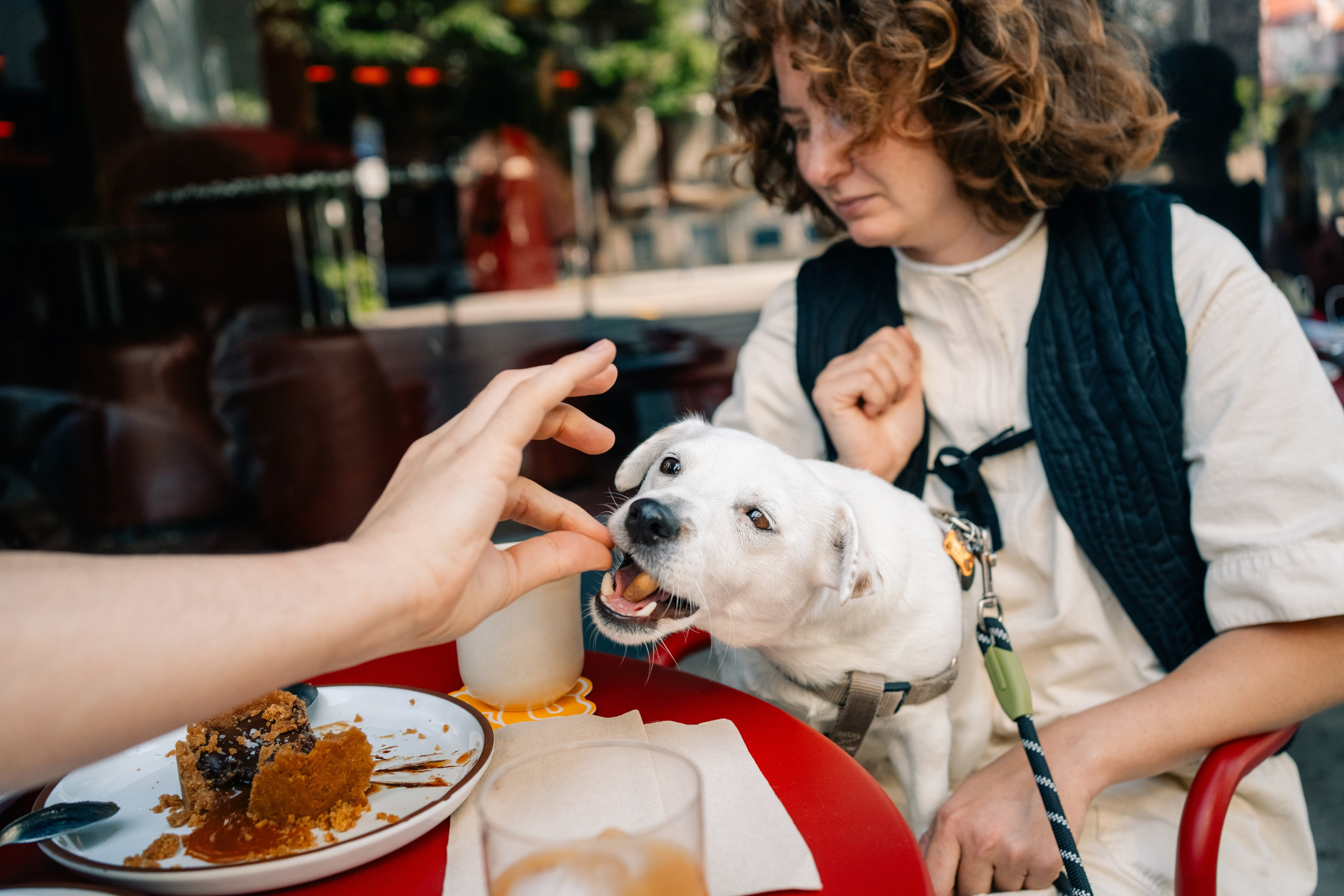 Yana & Pedro & Doggos. Maria Sher. Professional photographer from Porto, Portugal