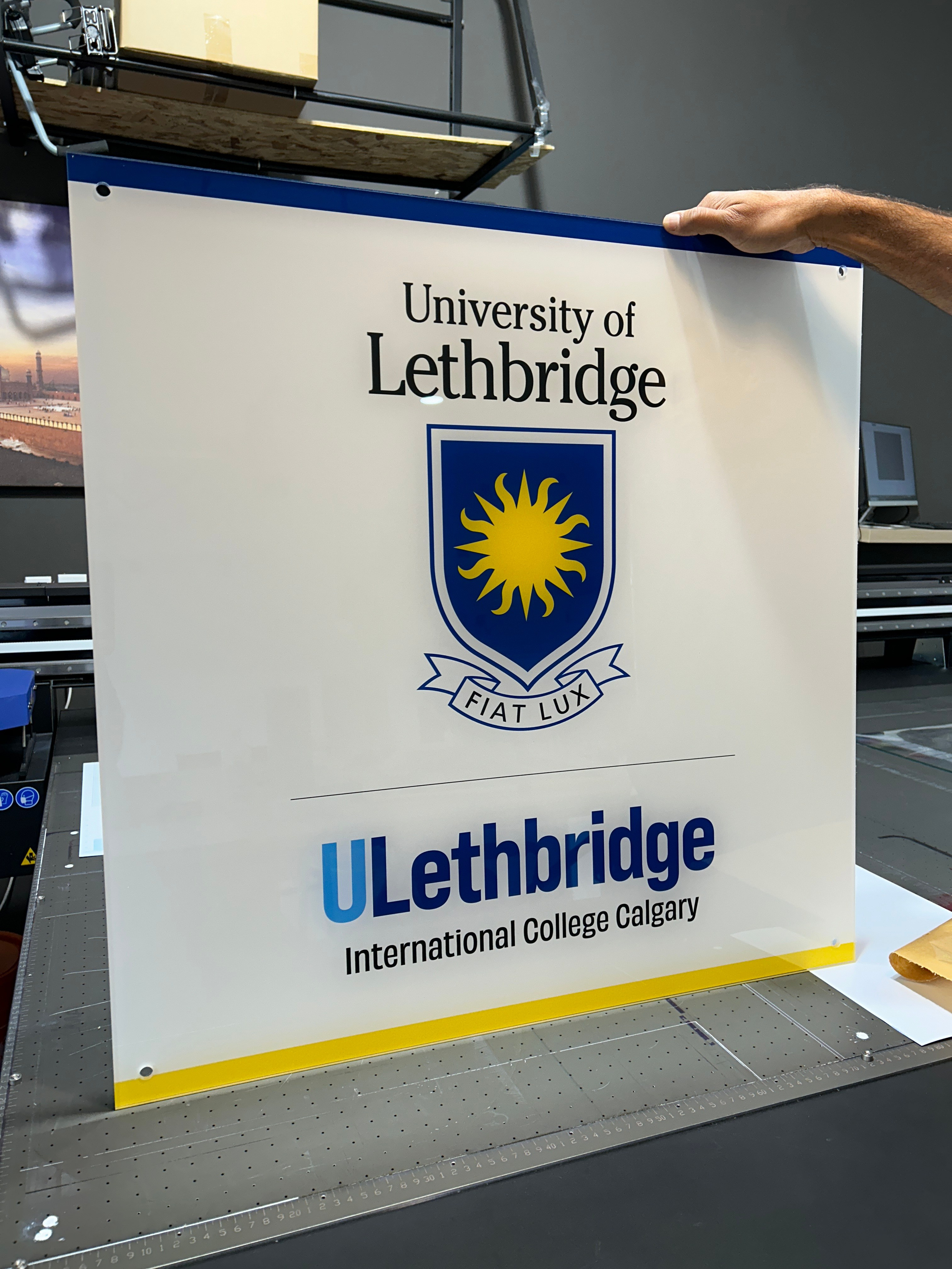 Professional Printing Services in Calgary. ProFly.club — Professional aerial filming in Calgary