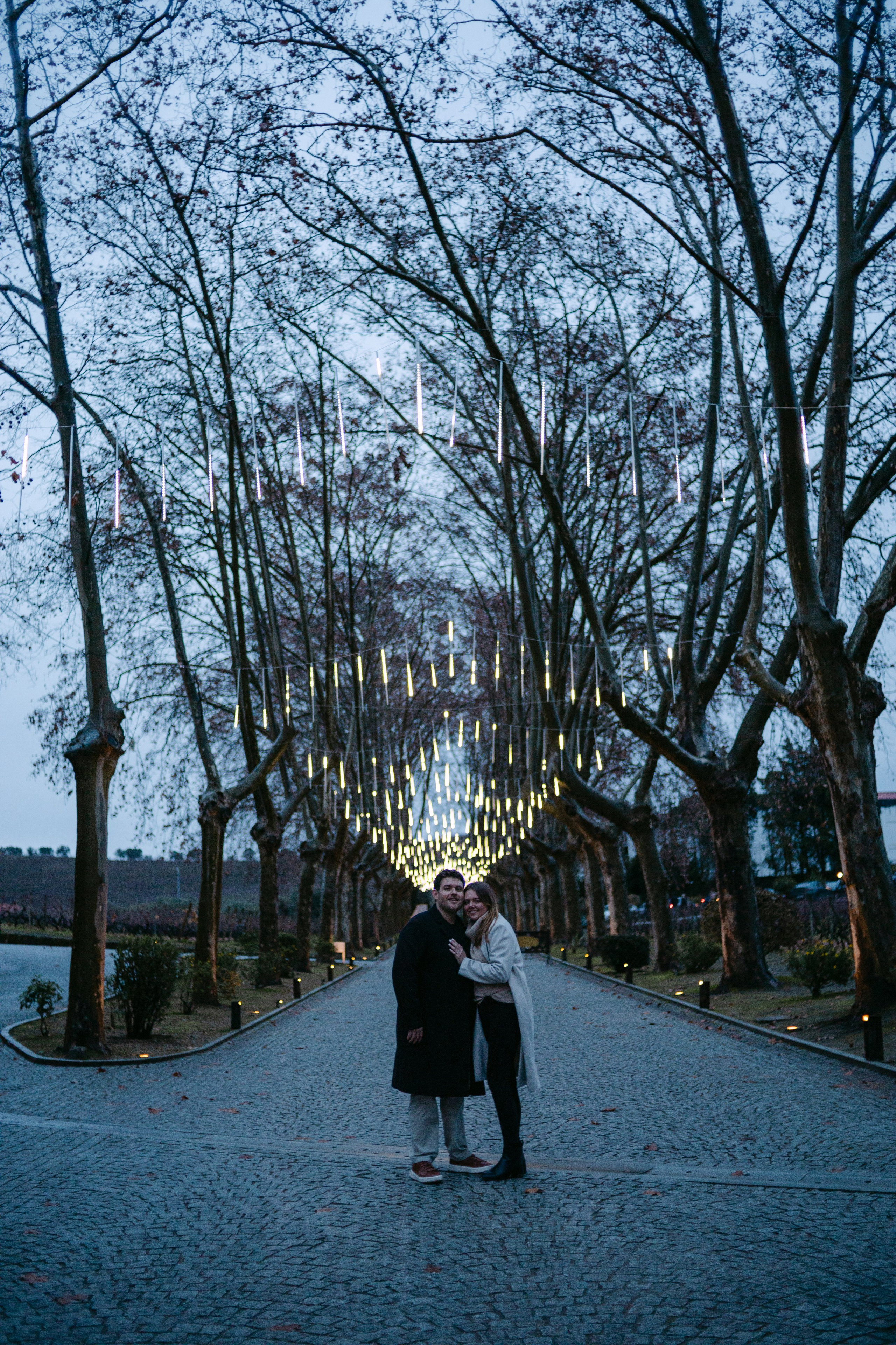 Proposal Sandro — Quinta Pacheca. Wedding and couple photographer in Porto