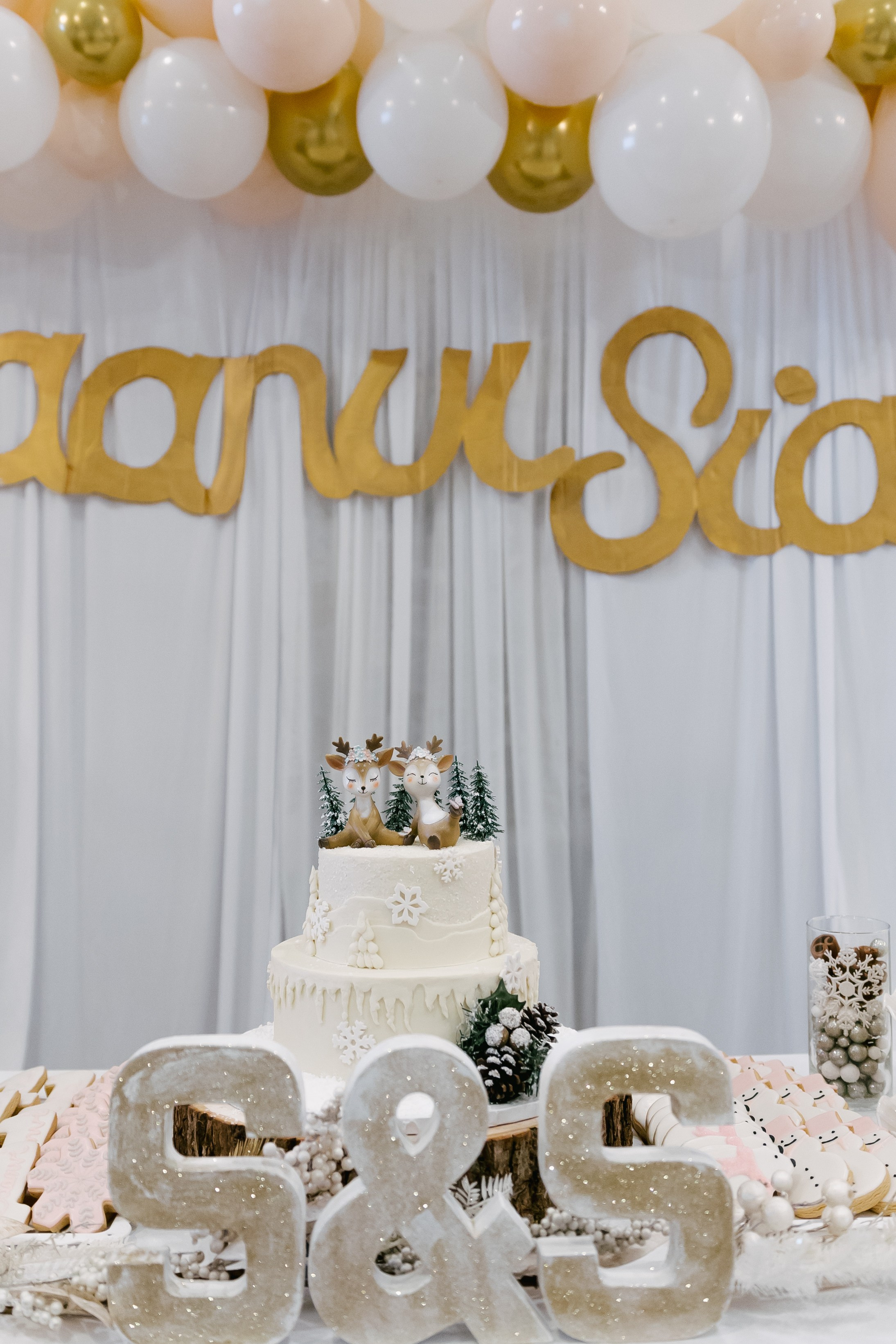 Twins Birthday. Sara Eulalia | Virginia Photographer