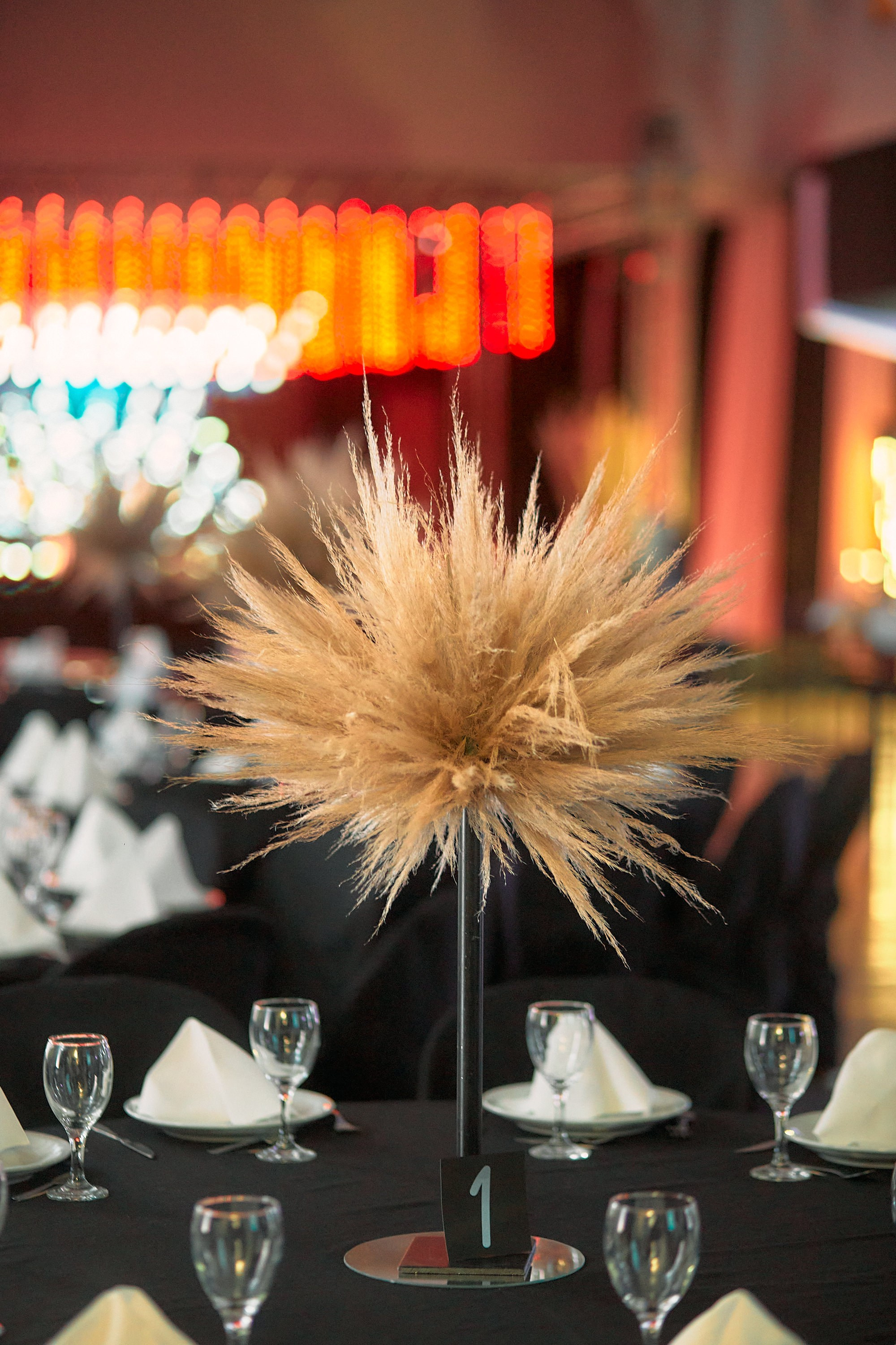 NARCISA. Marcos Ferrari Fotógrafo