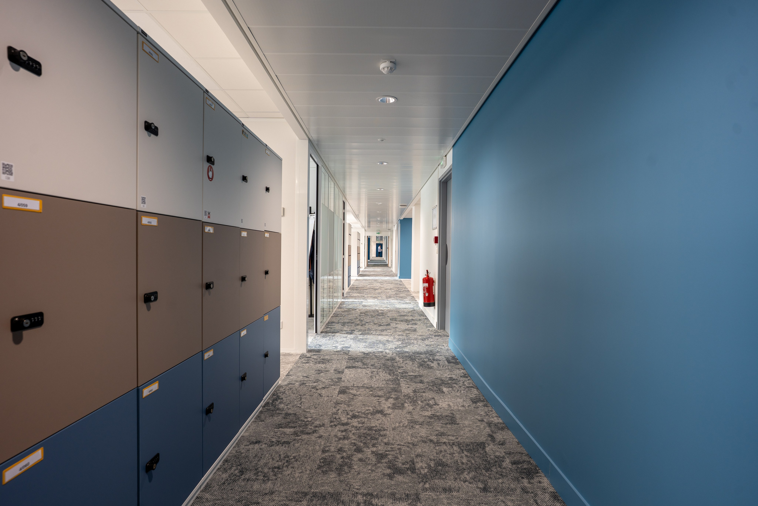 Veolia. Catarina Calheiros