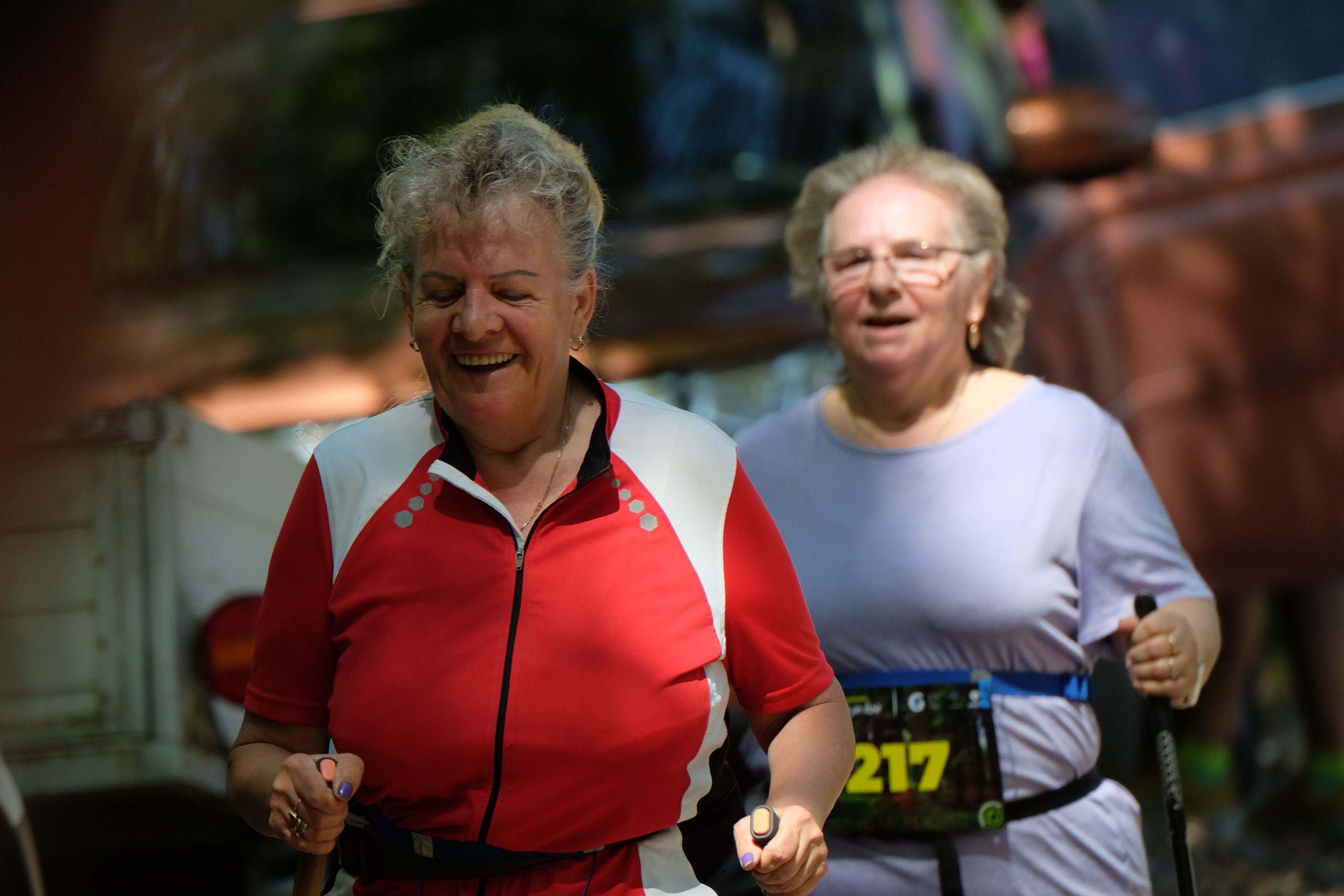 Aleksandryjska Piątka po lesie. Main