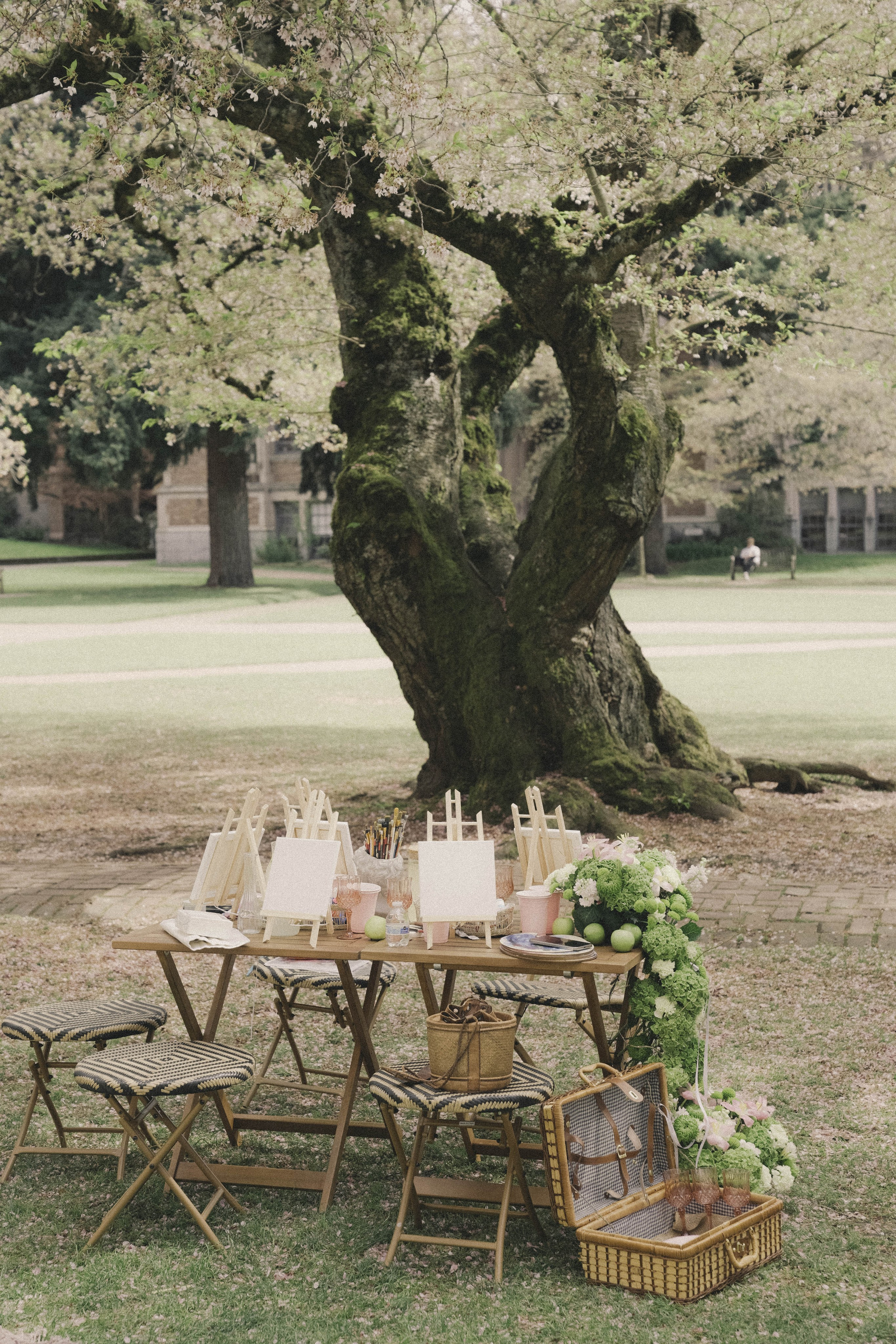 Events Photo. Photographer & Videographer Ksu