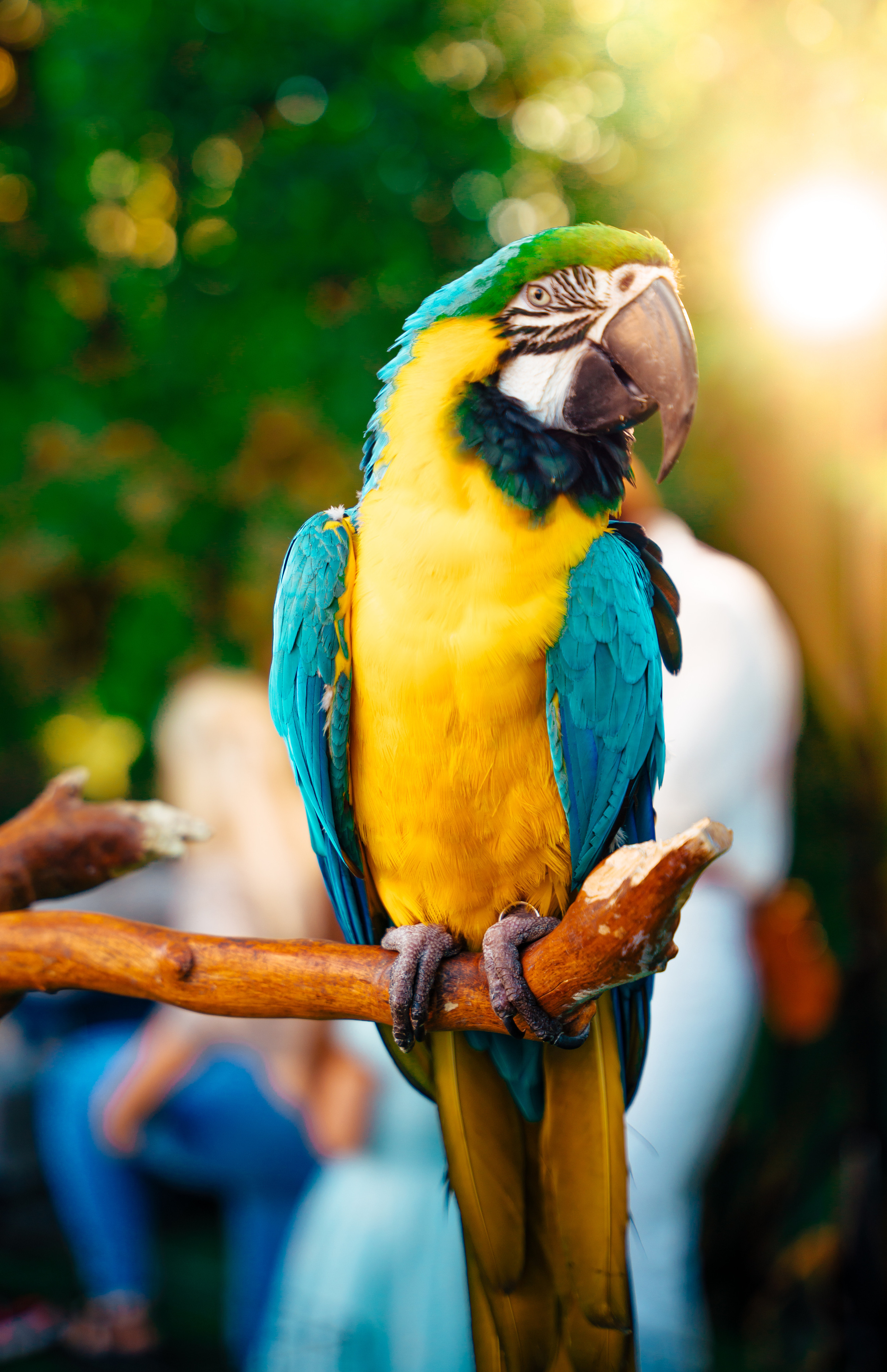 People. Photographer and videographer in Dubai Dmitry Gromov