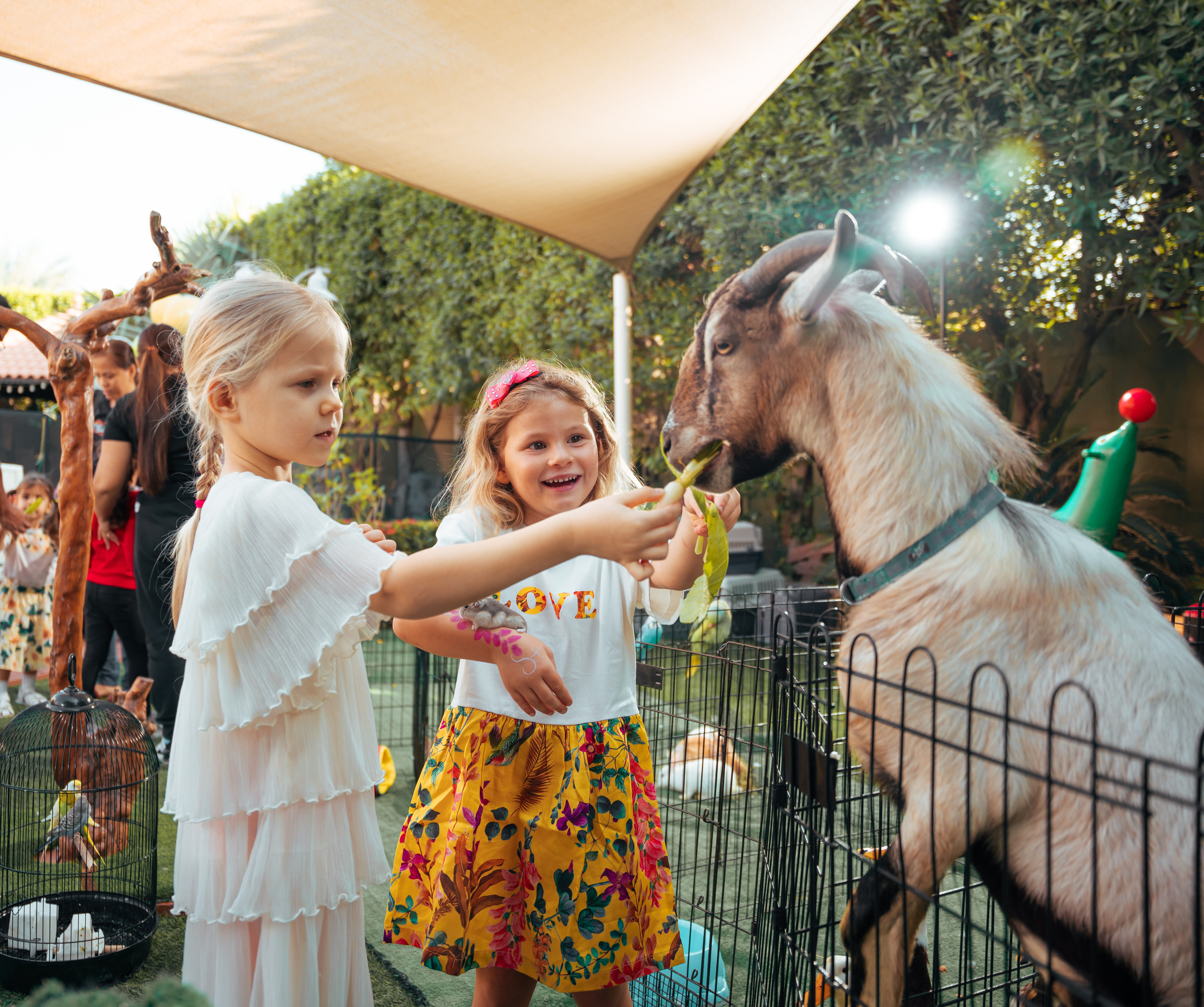 People. Photographer and videographer in Dubai Dmitry Gromov