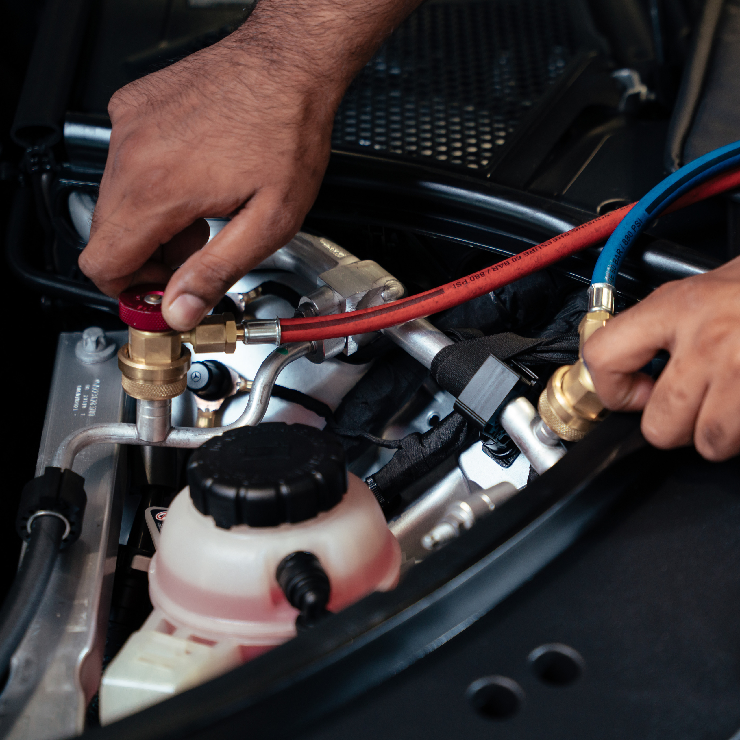 People. Photographer and videographer in Dubai Dmitry Gromov