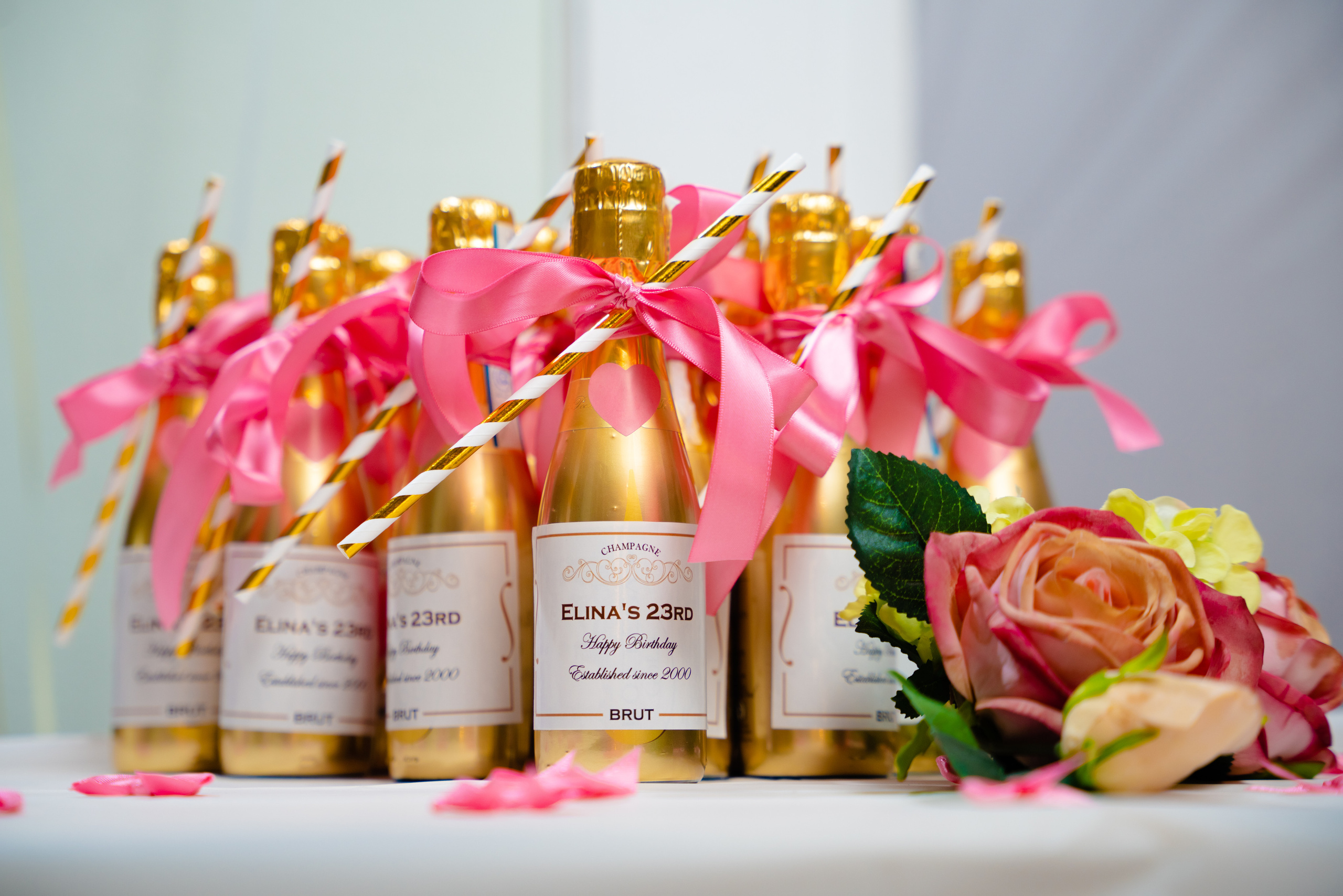 Event/Concert. Photographer and videographer in Dubai Dmitry Gromov