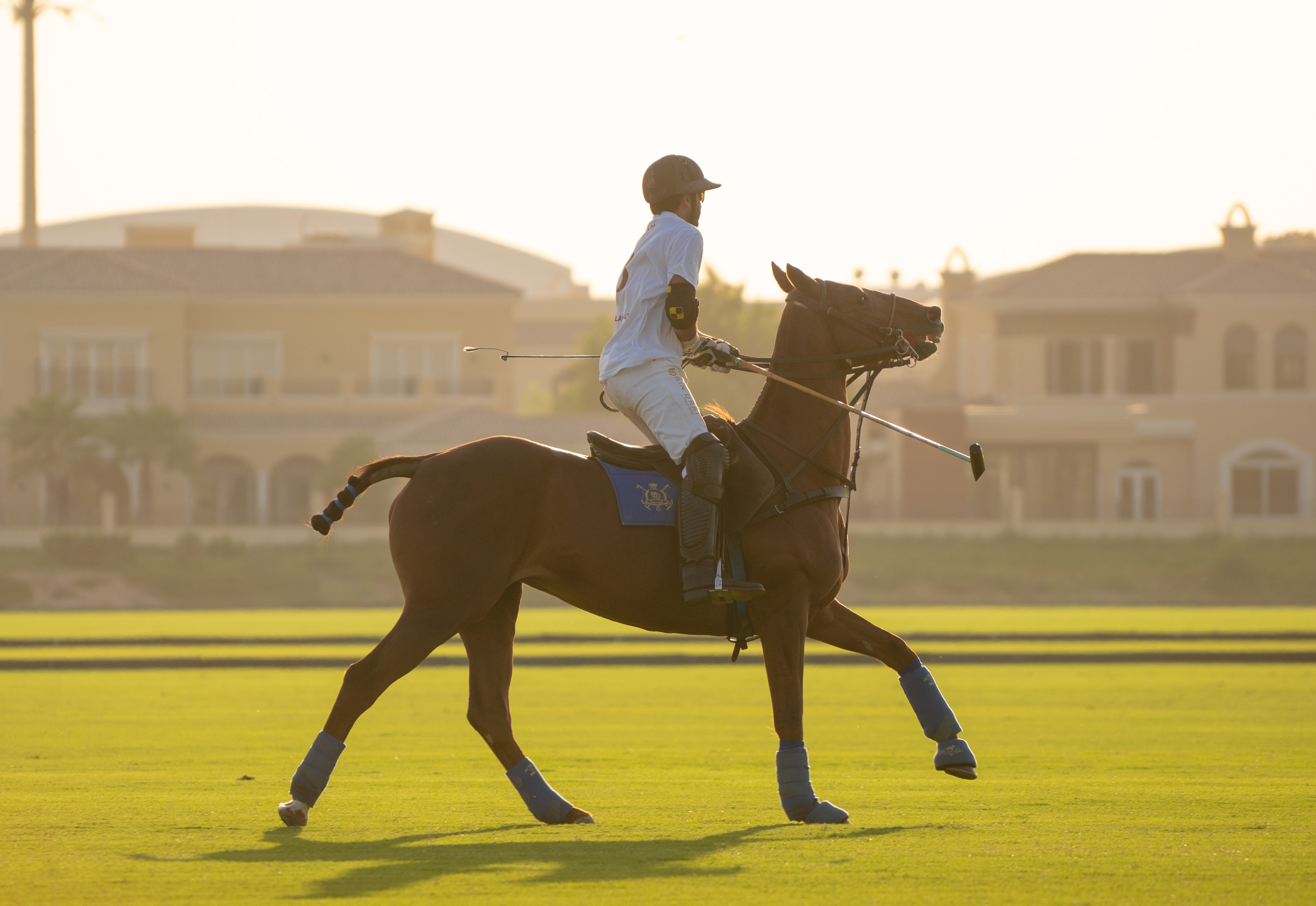 People. Photographer and videographer in Dubai Dmitry Gromov