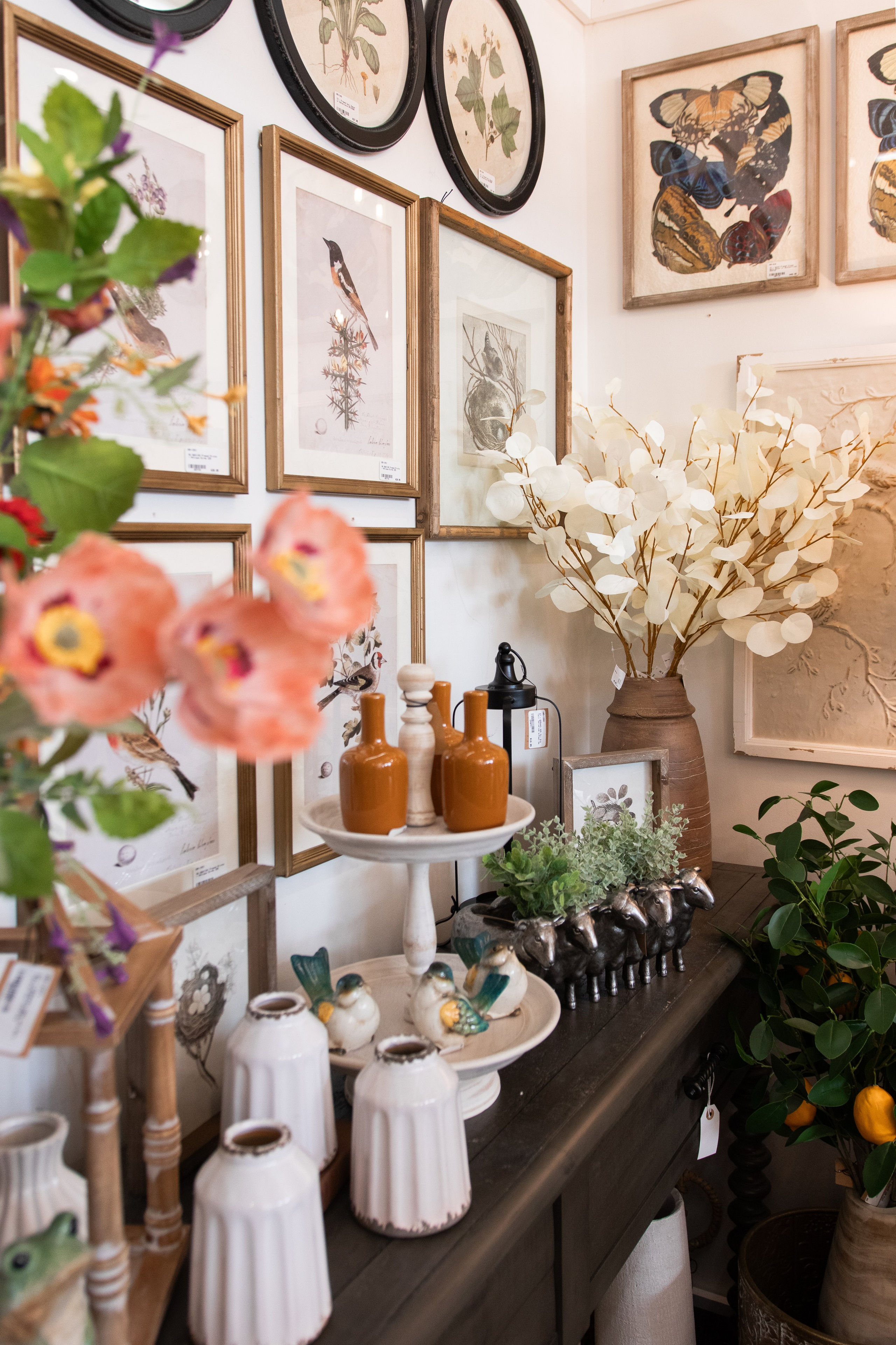 Painted Tree Boutiques retail photography for the summer season