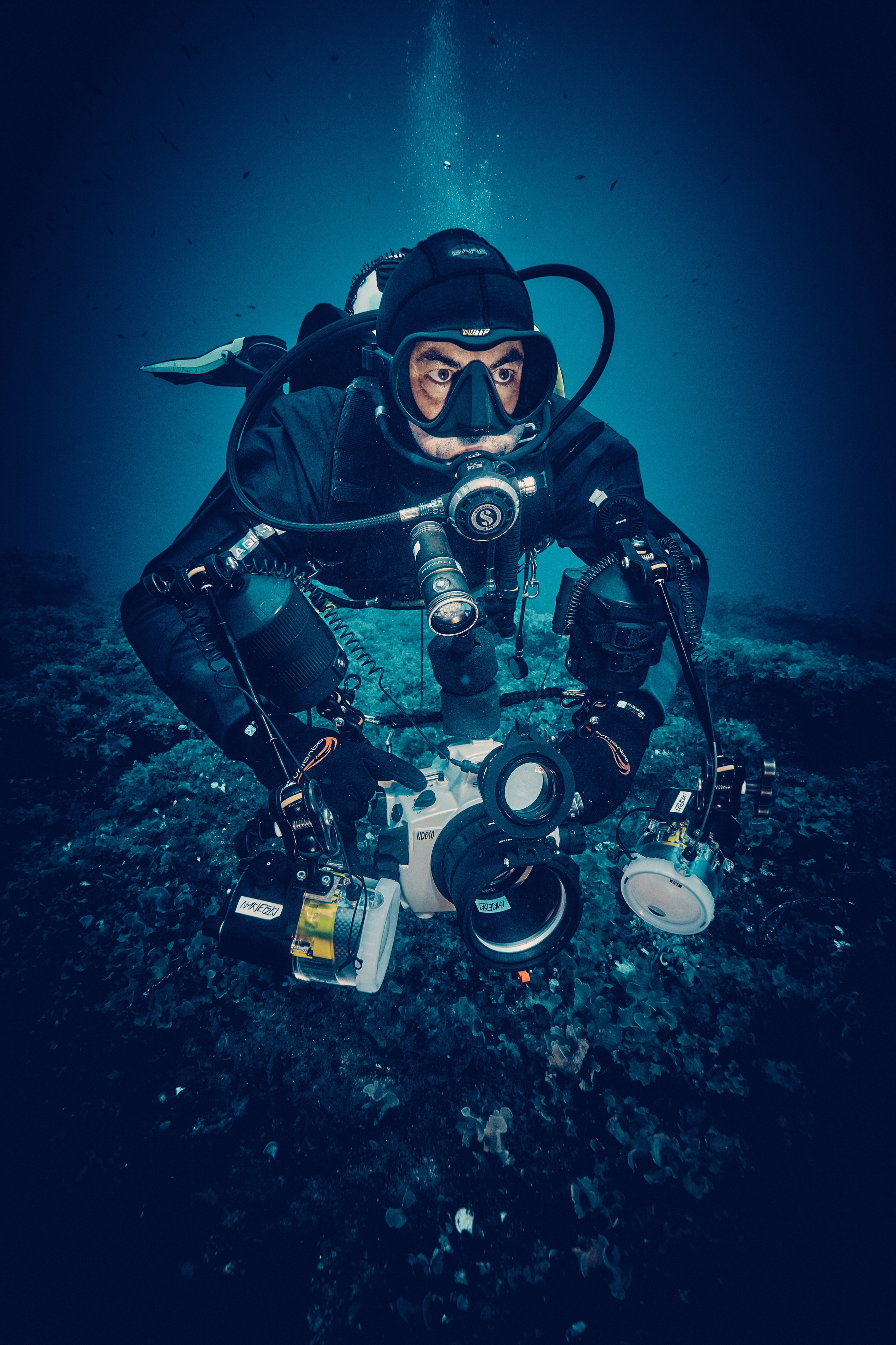 Portrety podwodne. Андрей Шипилов — Фотография & Видеография