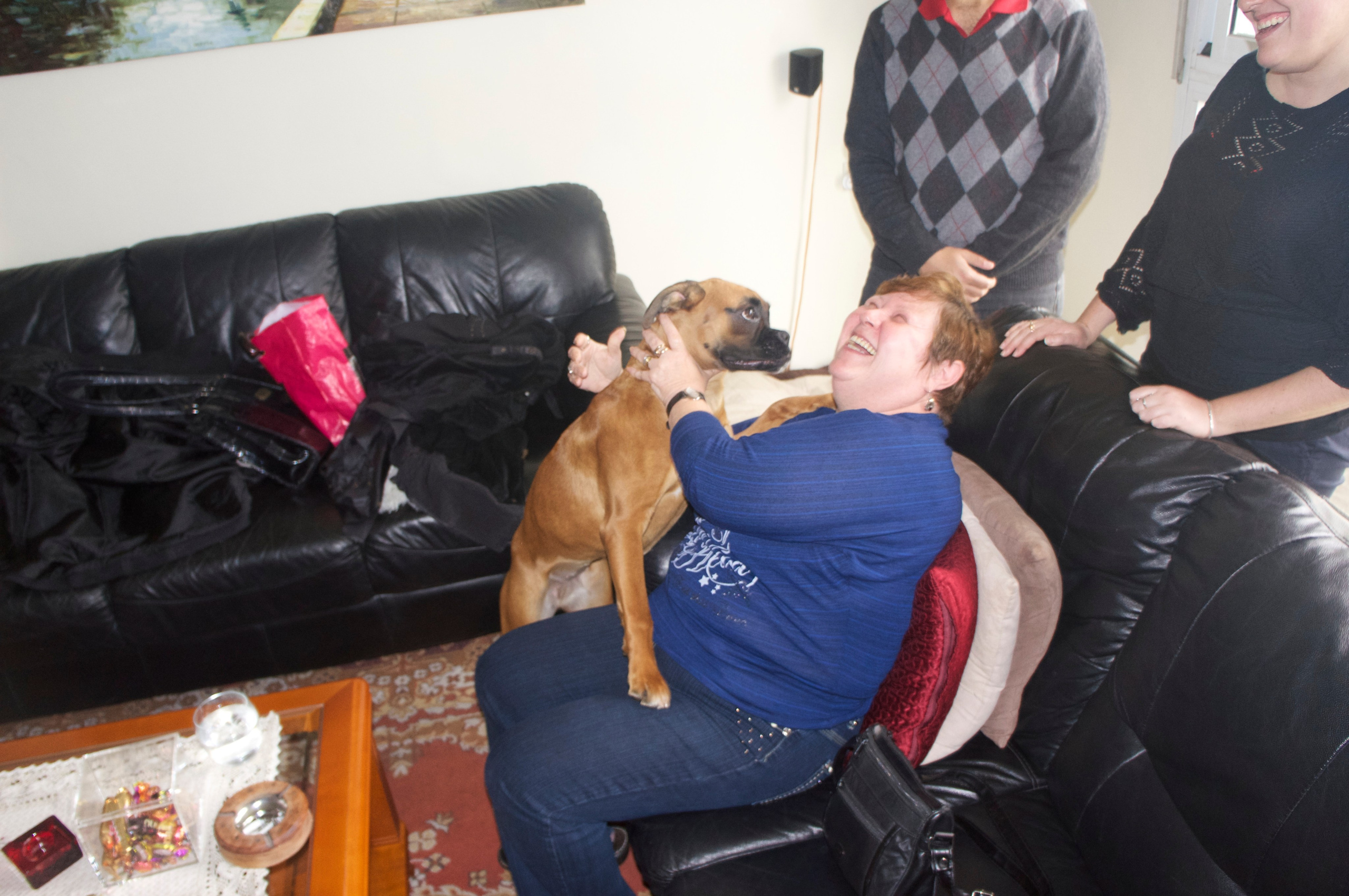 My ״Star״ Boxer Dog