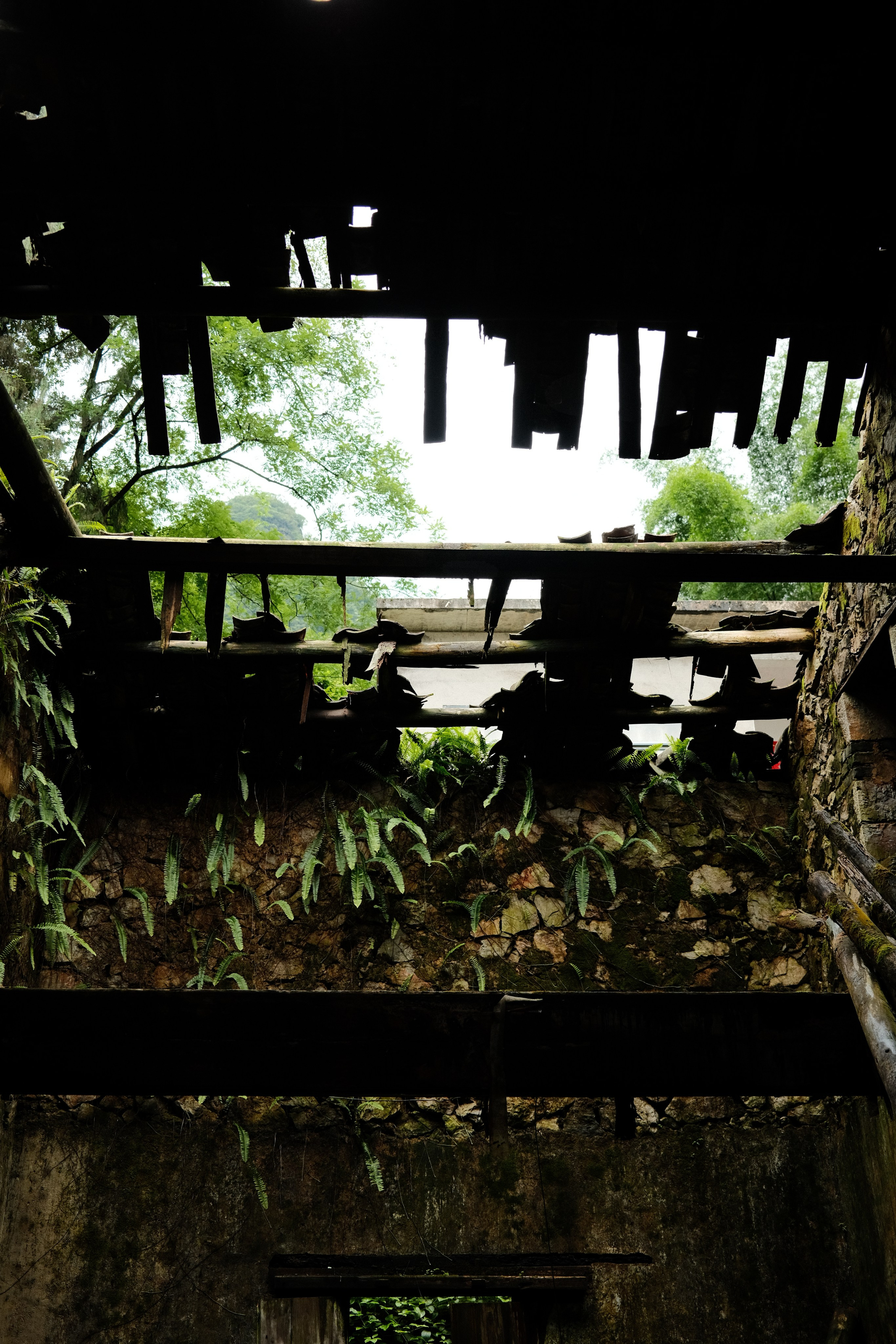 Yangshuo China Guiling. Фотограф В Гуанчжоу и Шэньчжэнь Андрей Лопатин