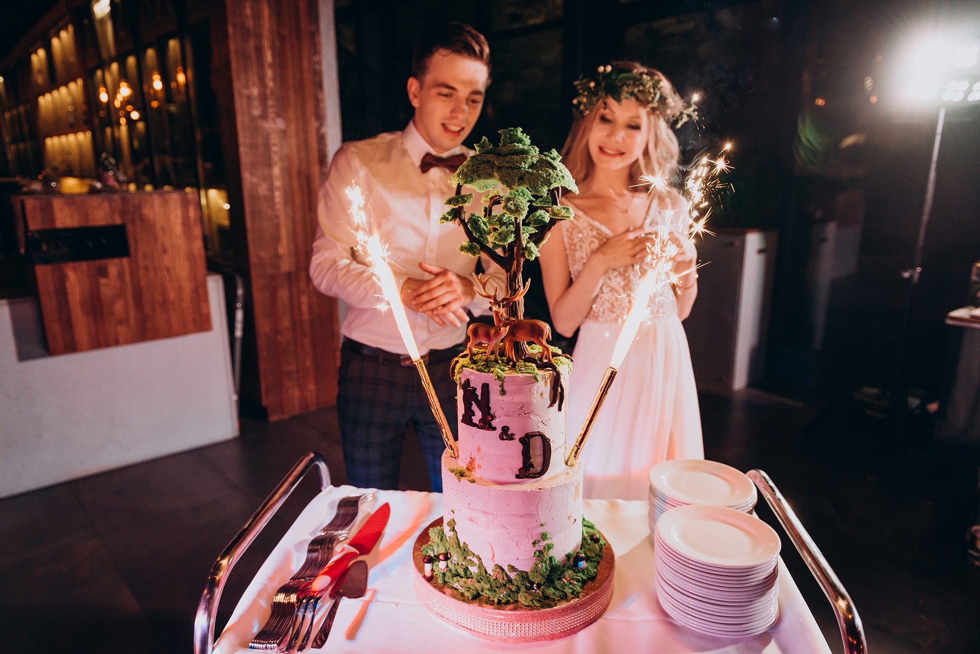 Назар та Дарина. Весільний фотограф та відеограф в Києві