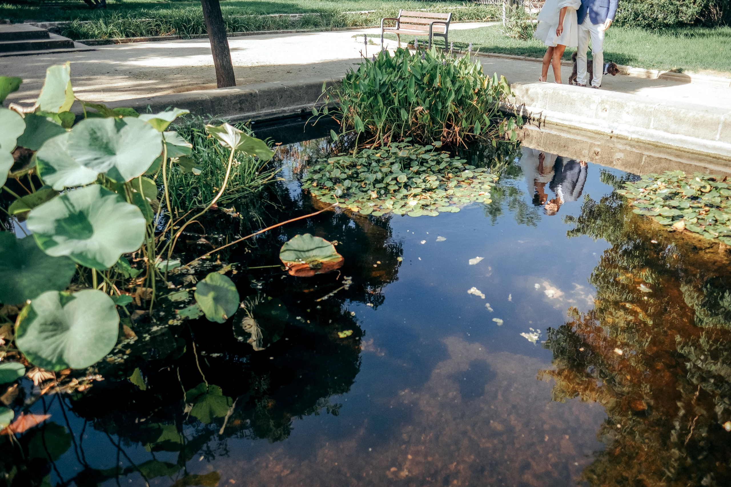Rayana & Marti. Wedding Photographer in Barcelona Lana Alekhina