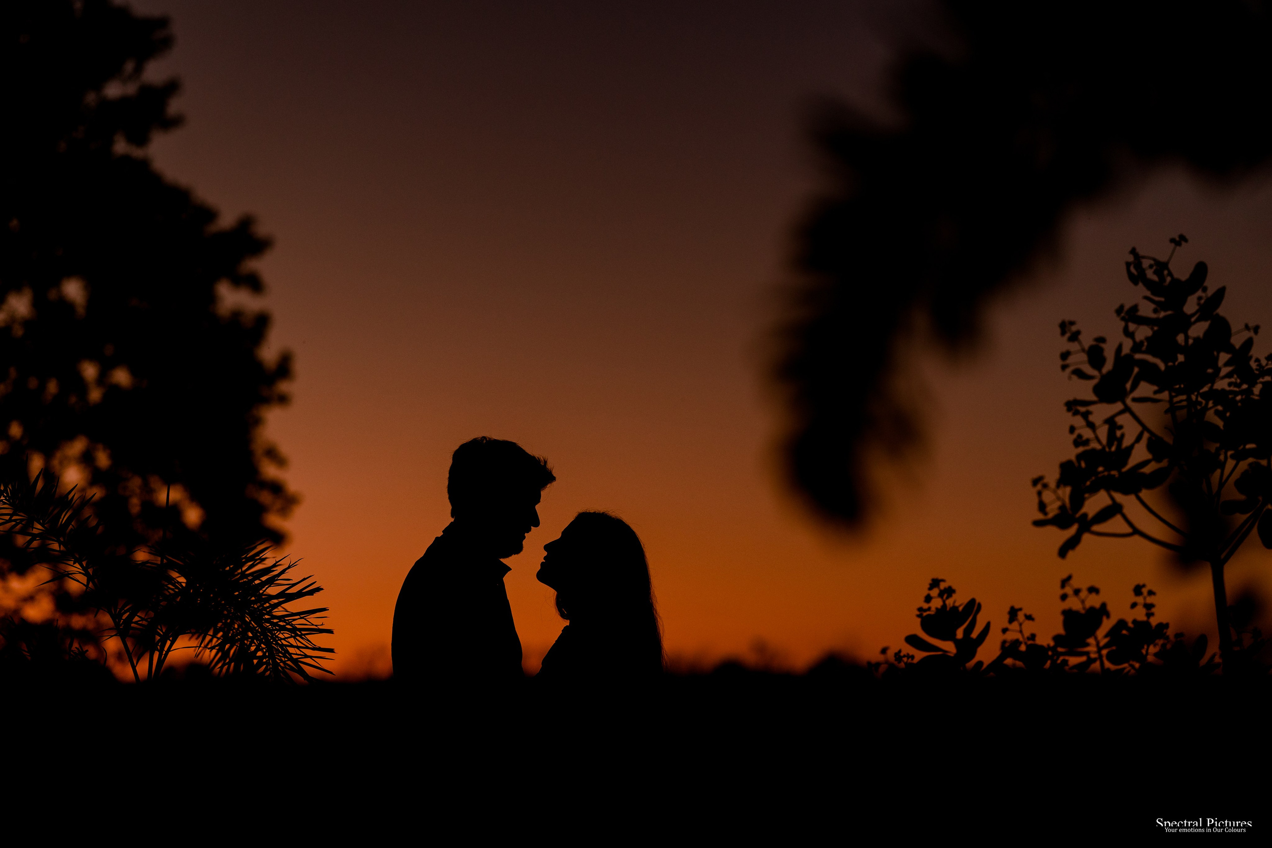 #NitYa | Pre-Wedding