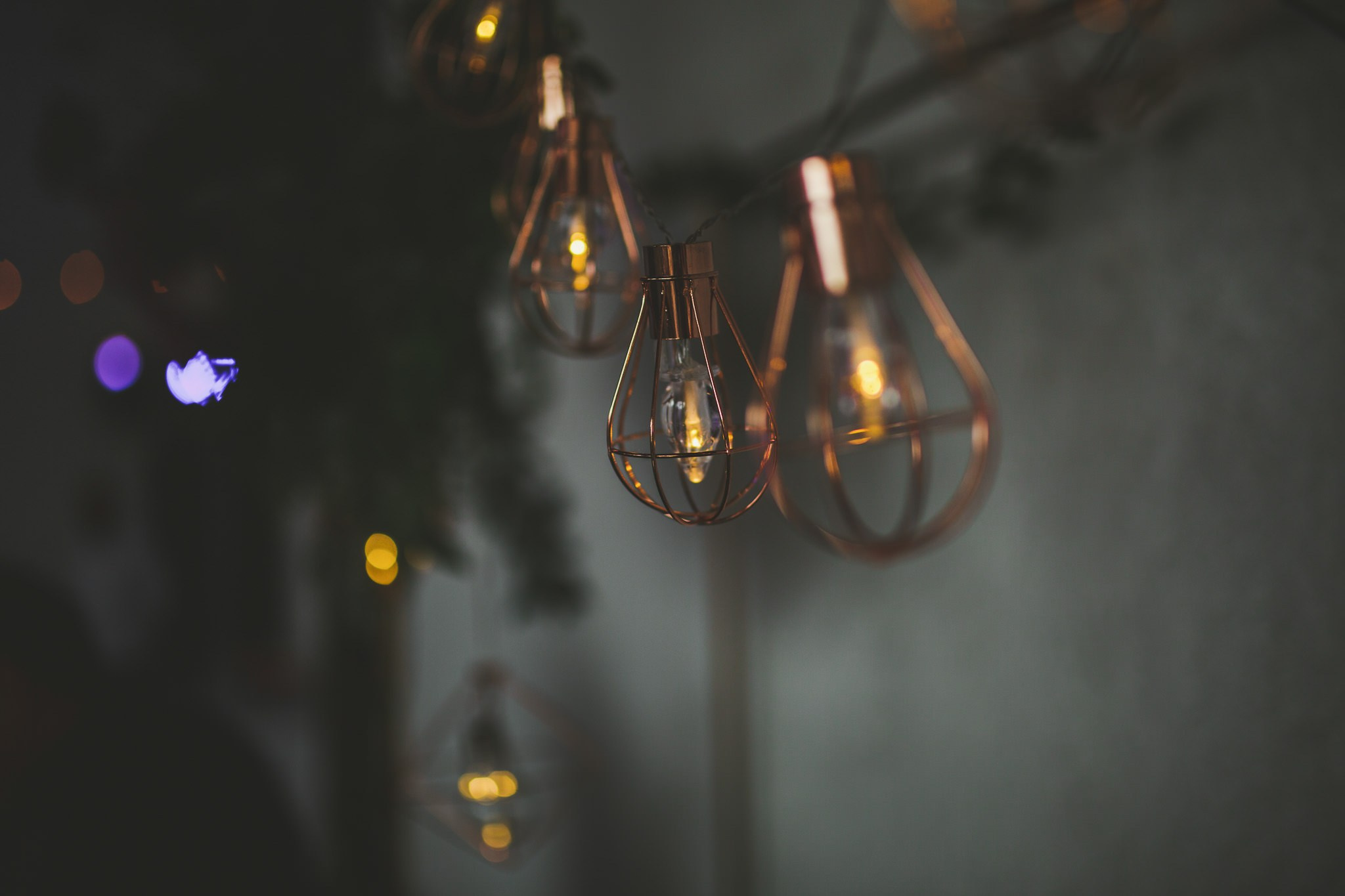 Sofi & Fer. Wedding and family photographer in Mexico City