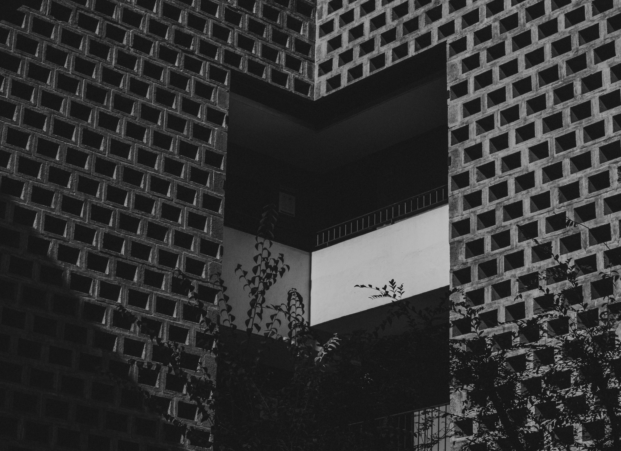 Gigi & Luis. Wedding and family photographer in Mexico City